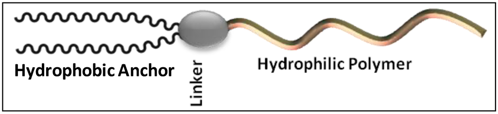 Pharmaceutics 05 00542 g001 1024
