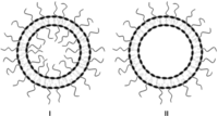 Pharmaceutics 05 00542 g003 200