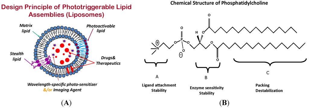 Pharmaceutics 06 00001 g001 1024