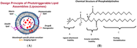 Pharmaceutics 06 00001 g001 200