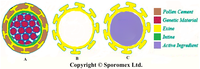 Pharmaceutics 06 00080 g002 200