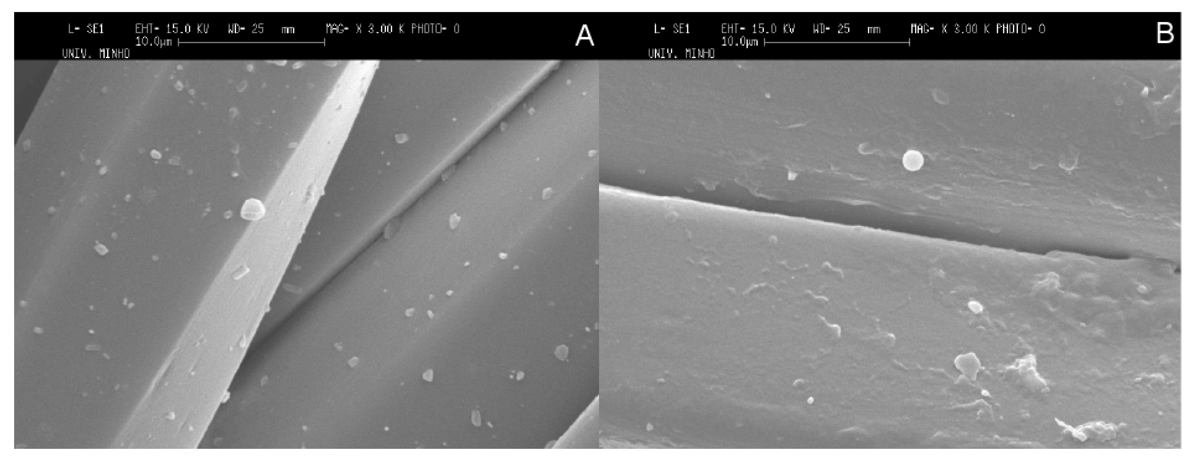 Pharmaceutics 06 00281 g005