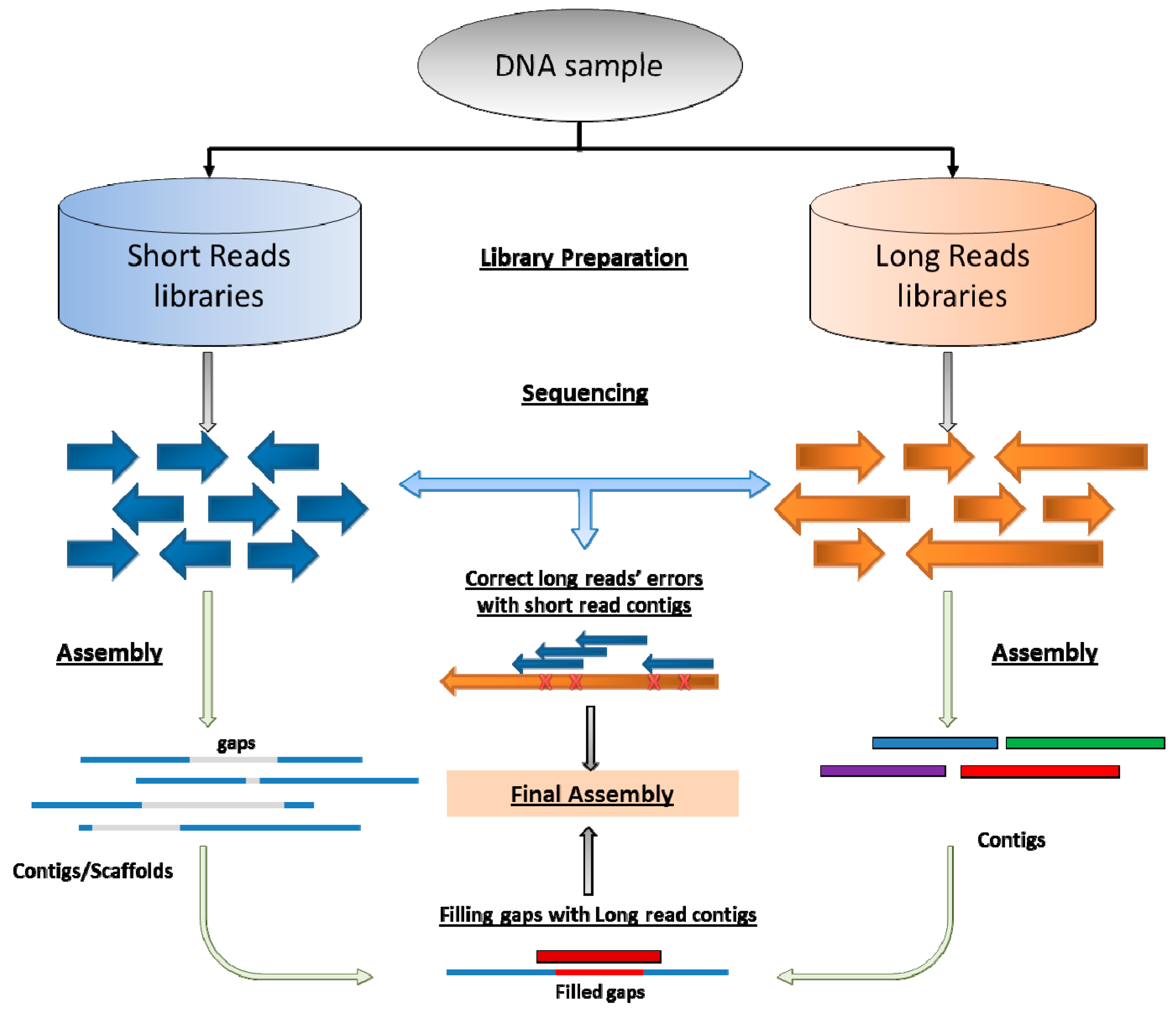 download Beiträge zur Kenntnis der symbiontischen Einrichtungen der