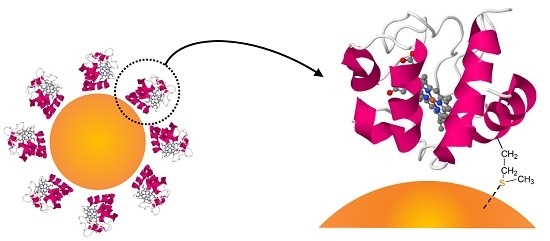 Coronaviruses with Special