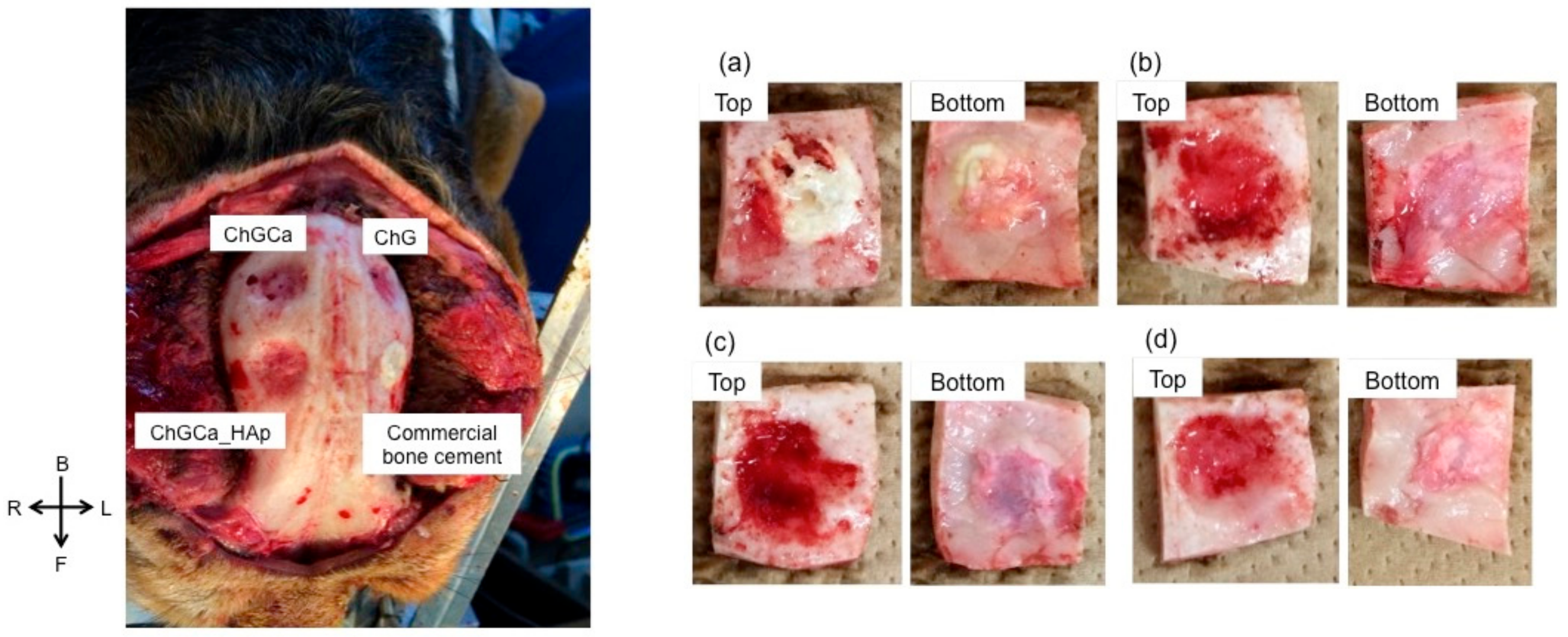 Pharmaceutics 10 00070 g001