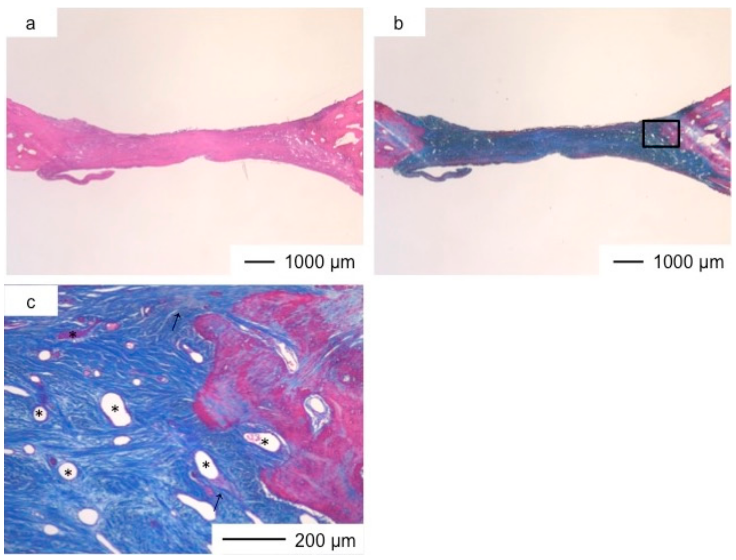 Pharmaceutics 10 00070 g003
