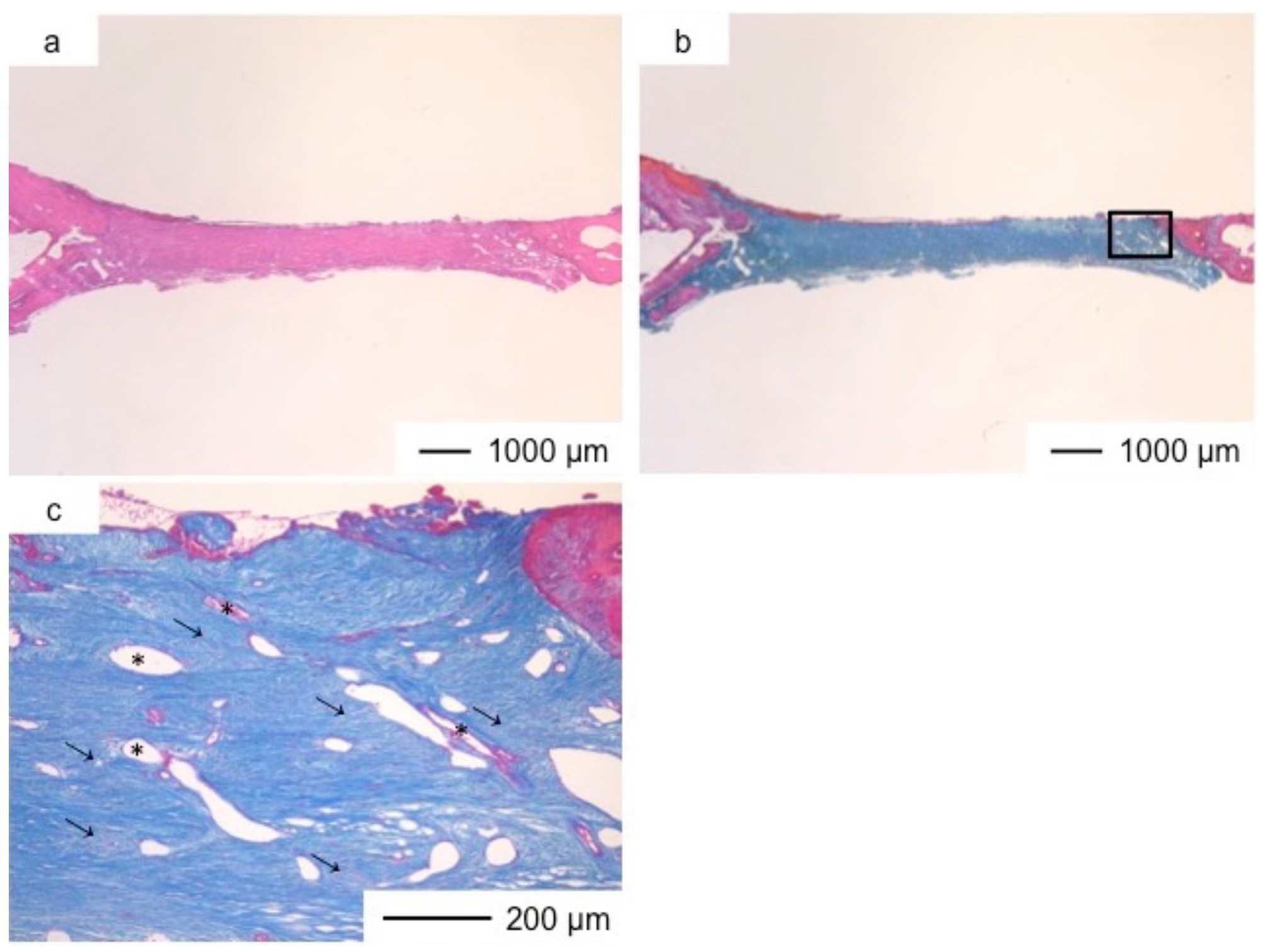 Pharmaceutics 10 00070 g006
