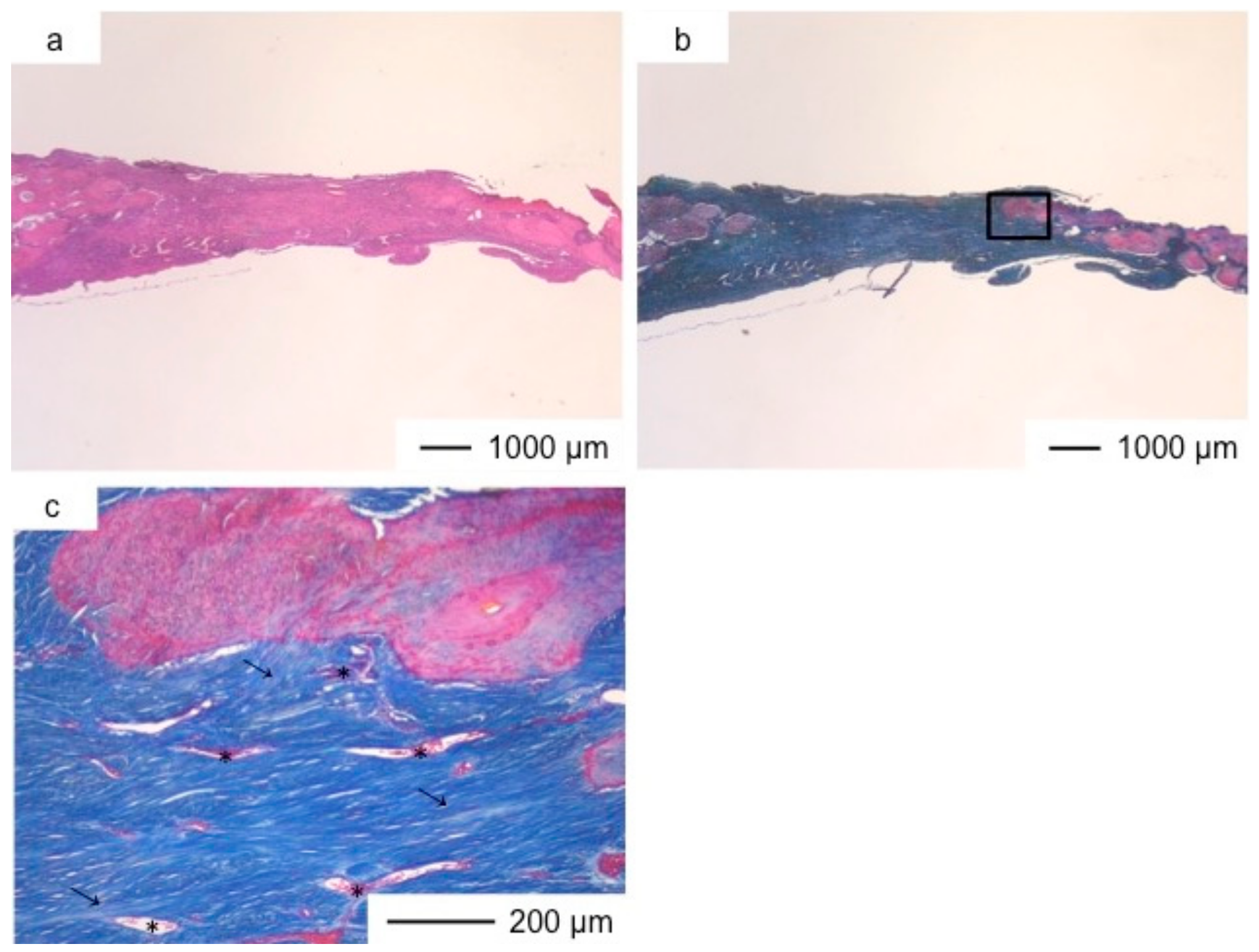 Pharmaceutics 10 00070 g007