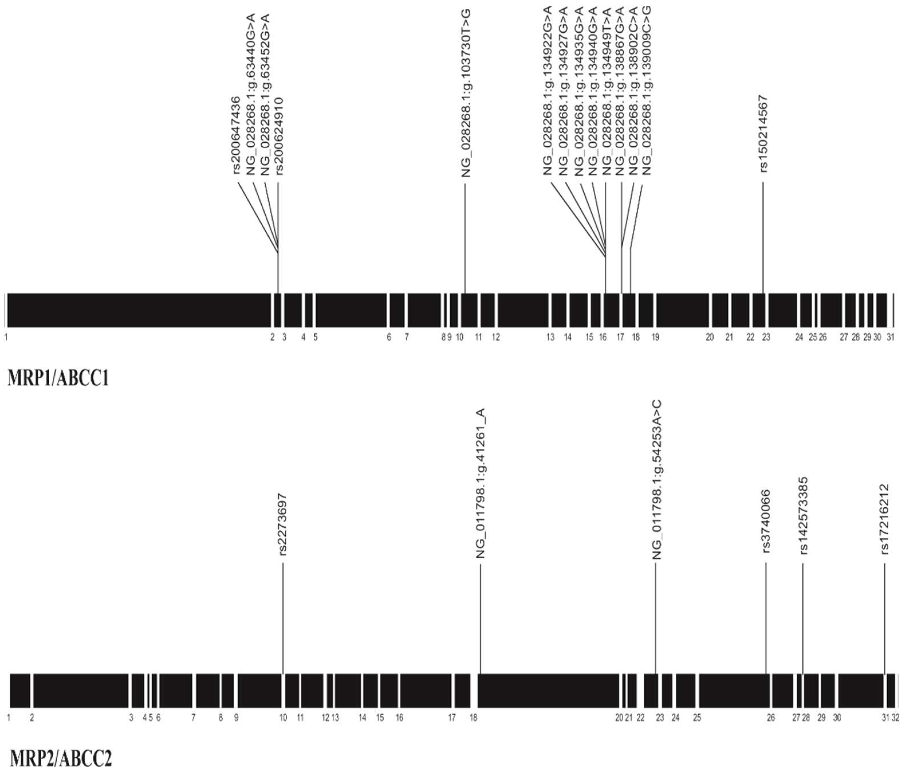 Pharmaceutics 10 00093 g001