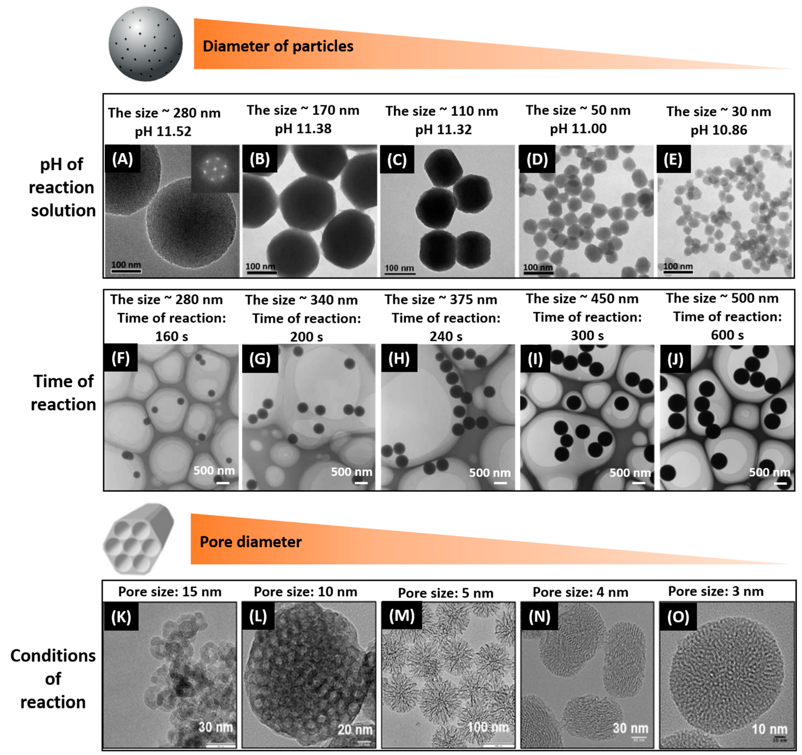 Pharmaceutics 10 00167 g002