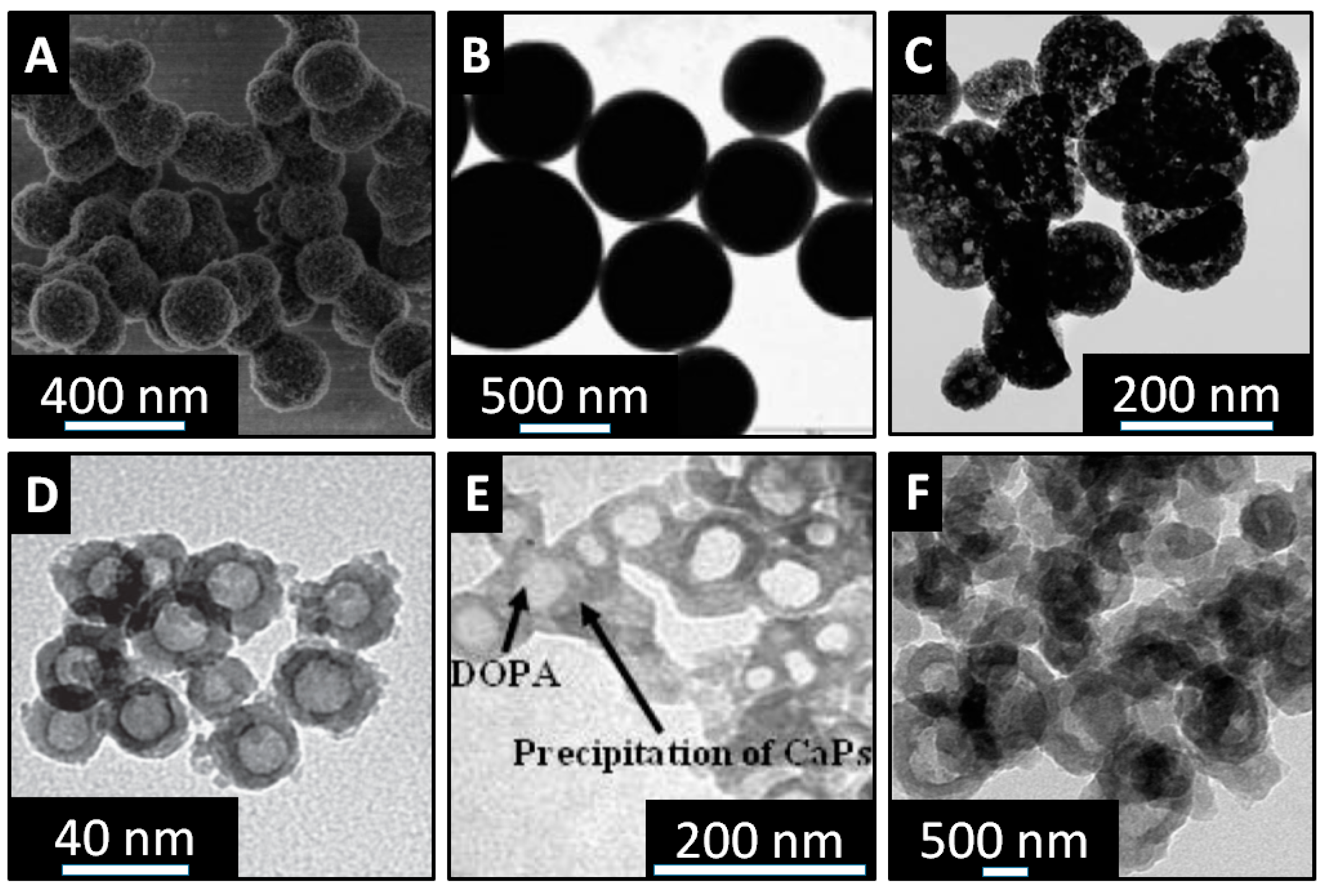 Pharmaceutics 10 00167 g007