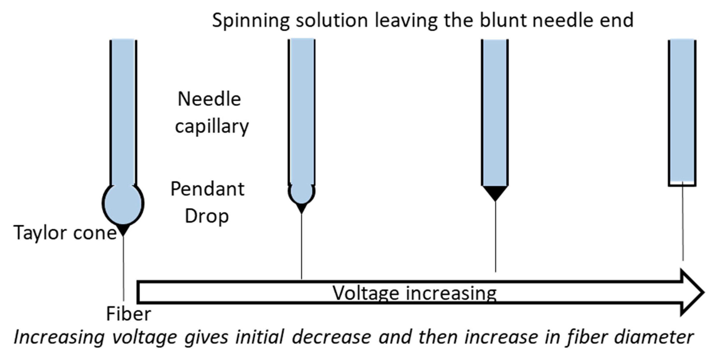 Pharmaceutics 11 00005 g002