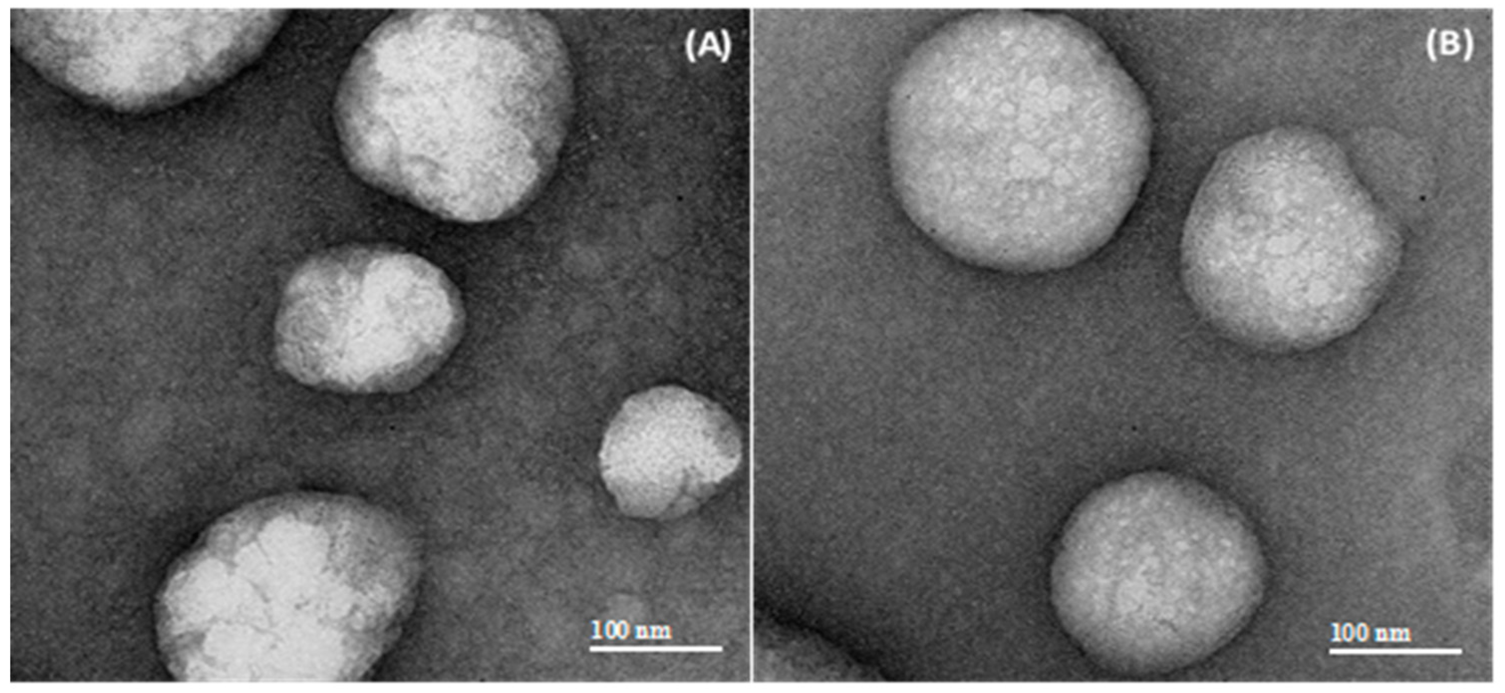 Pharmaceutics 11 00086 g002 Pharmaceutics 11 00086 g002