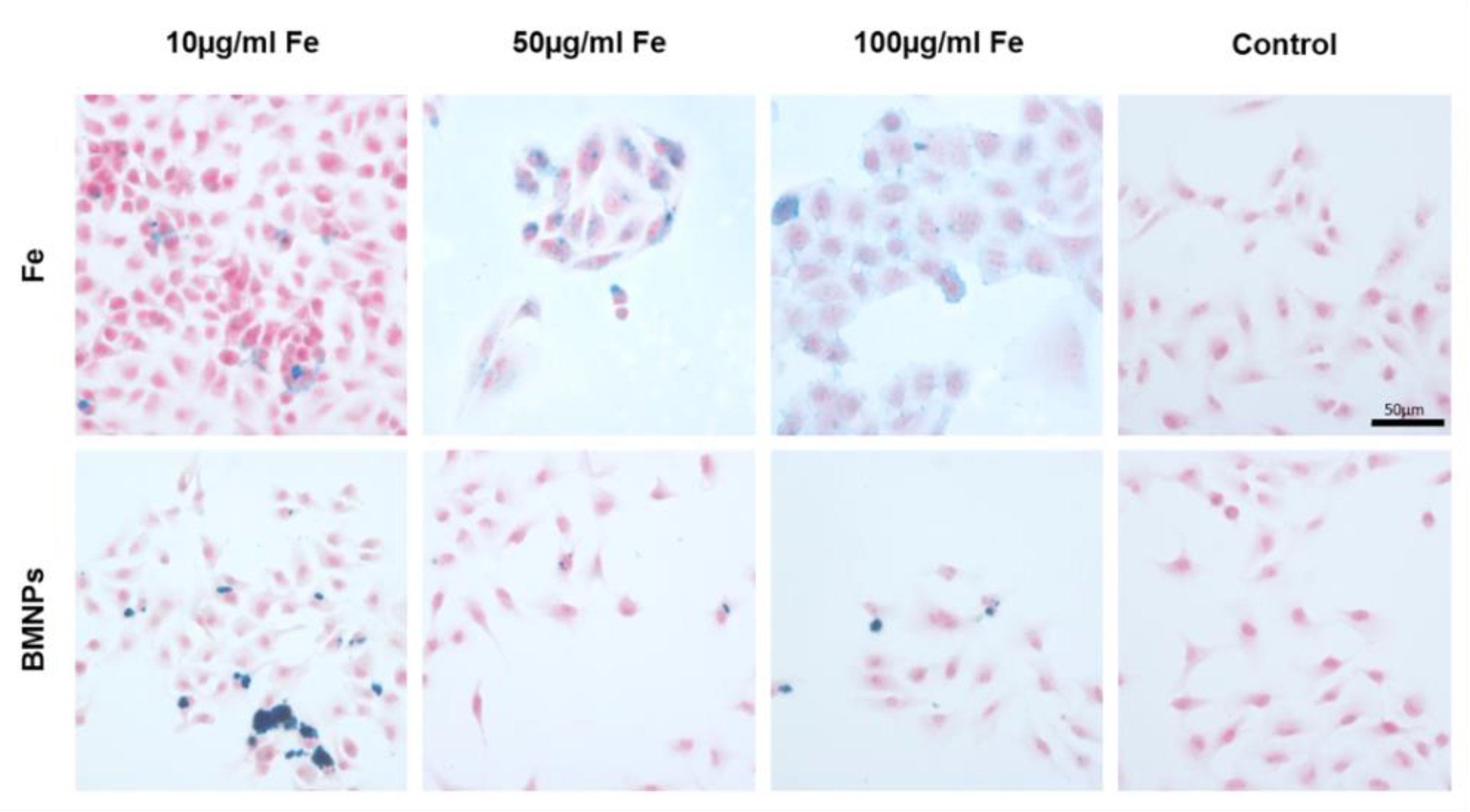Pharmaceutics 11 00395 g005 Pharmaceutics 11 00395 g005