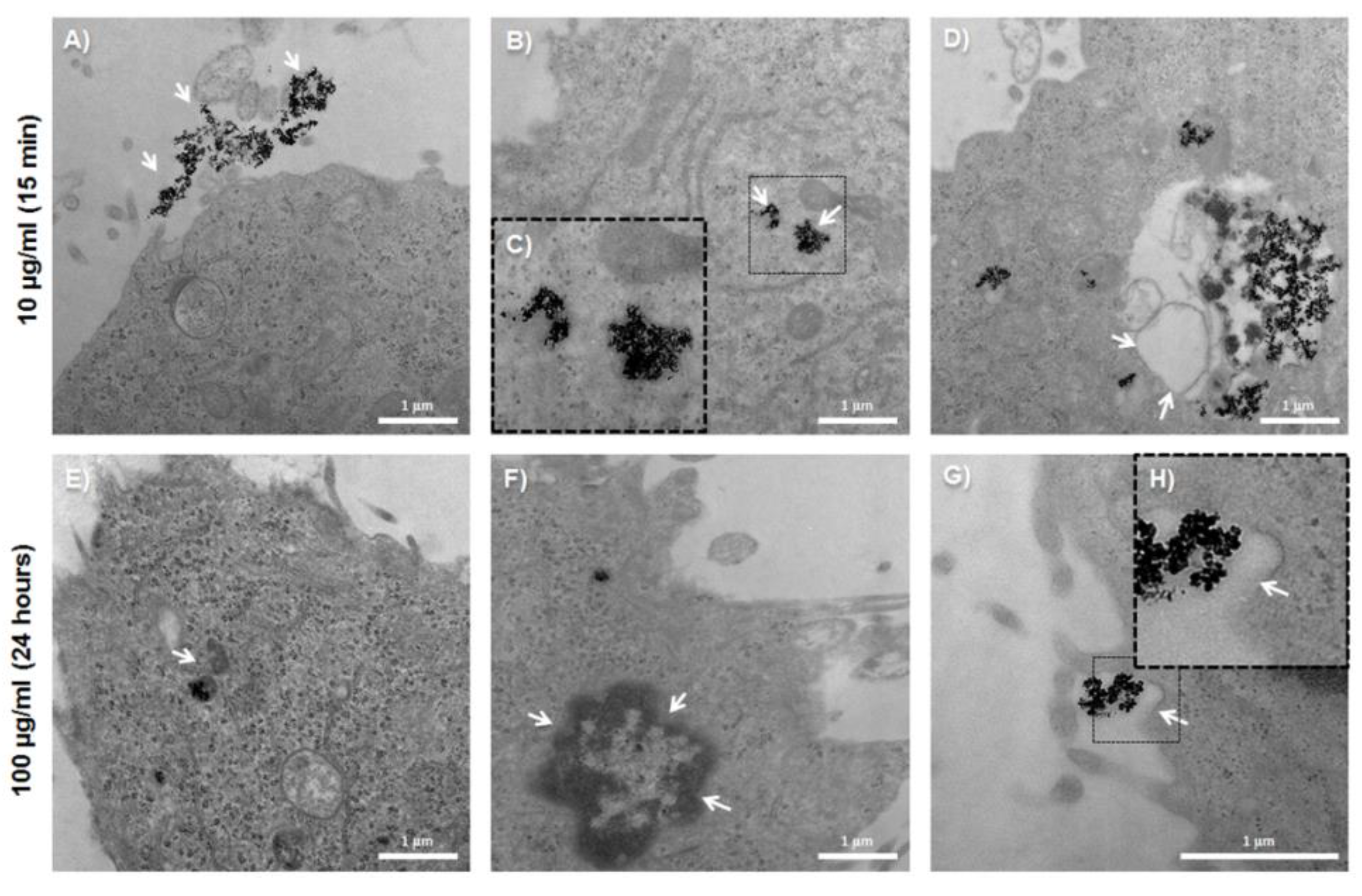 Pharmaceutics 11 00395 g006 Pharmaceutics 11 00395 g006