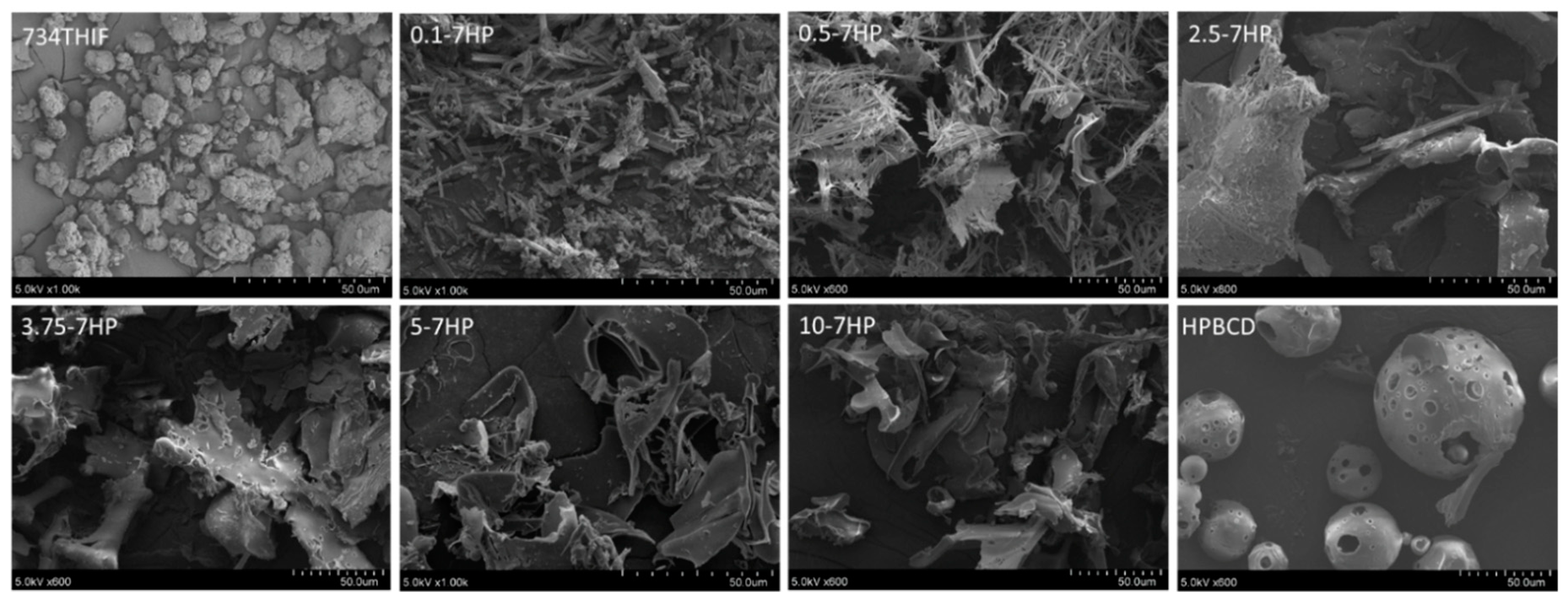 Pharmaceutics 11 00399 g002