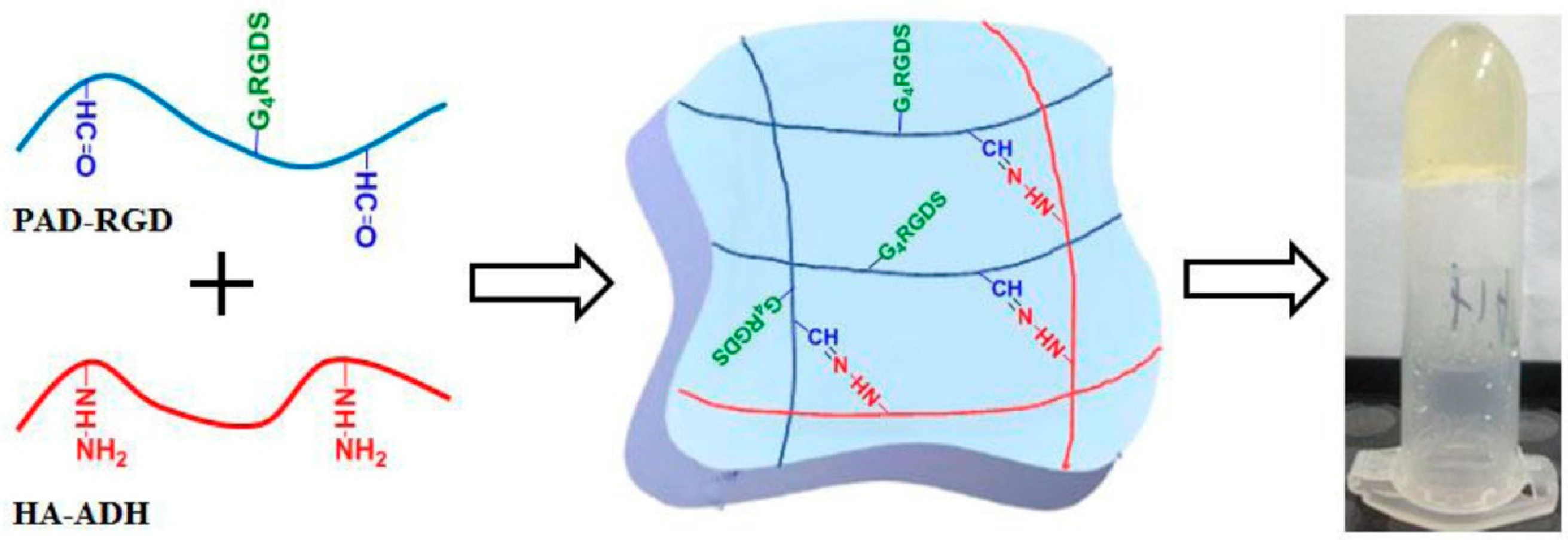 Pharmaceutics 11 00407 g003