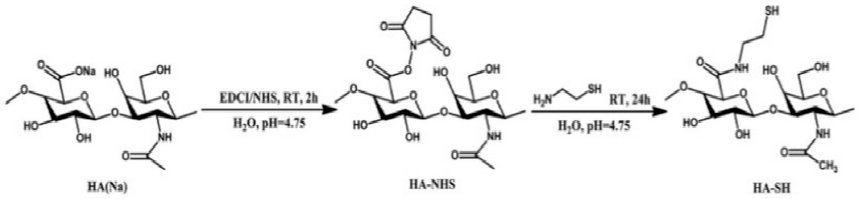 Pharmaceutics 11 00407 g005
