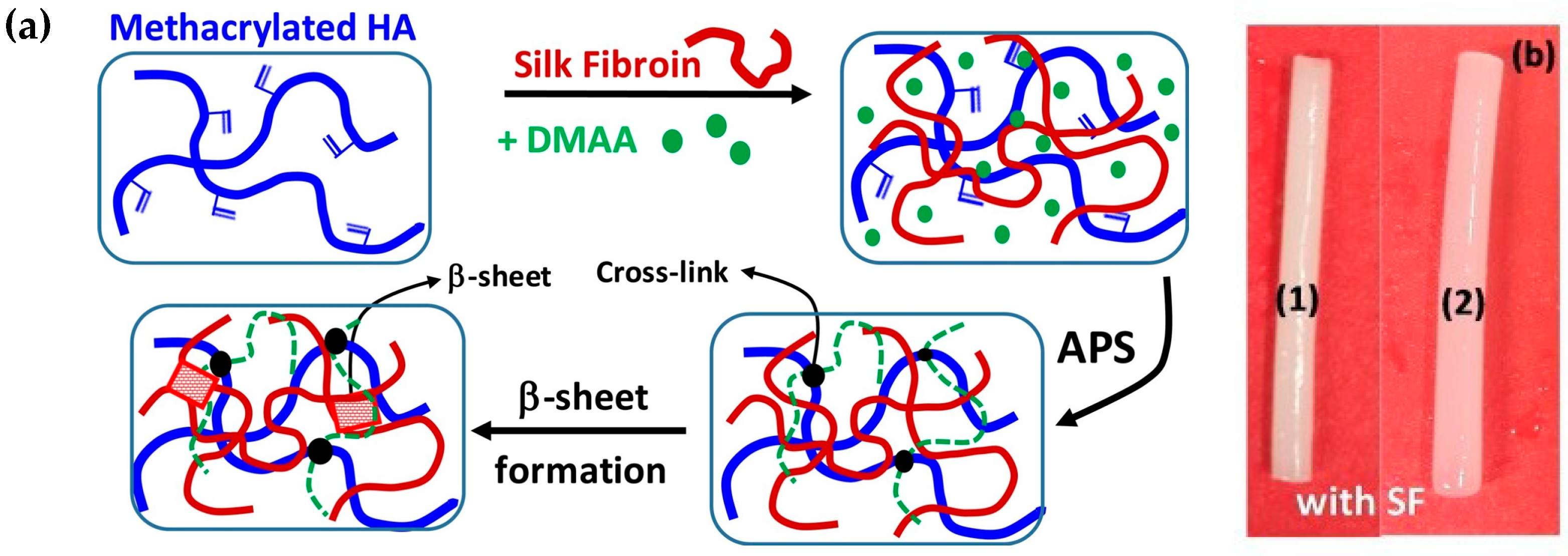 Pharmaceutics 11 00407 g006