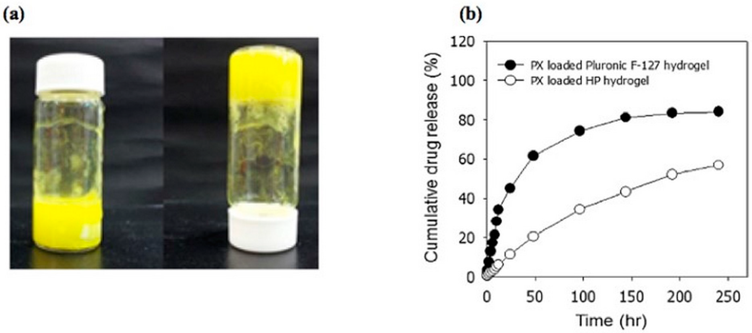 Pharmaceutics 11 00407 g009