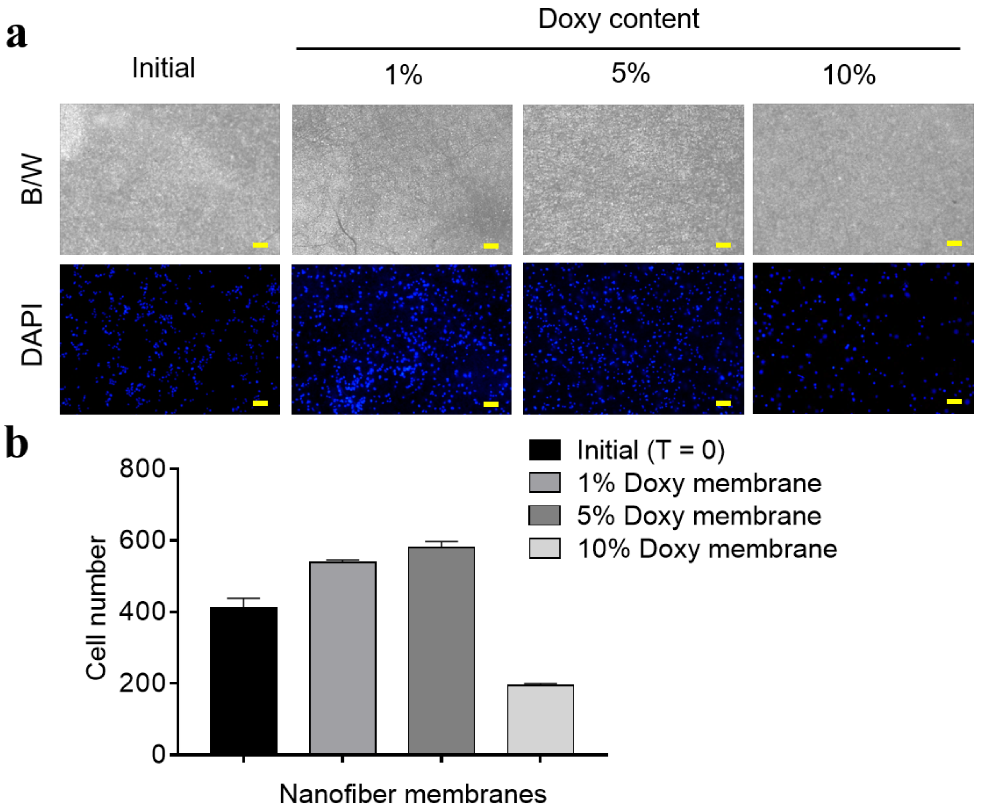 Pharmaceutics 11 00421 g005 Pharmaceutics 11 00421 g005