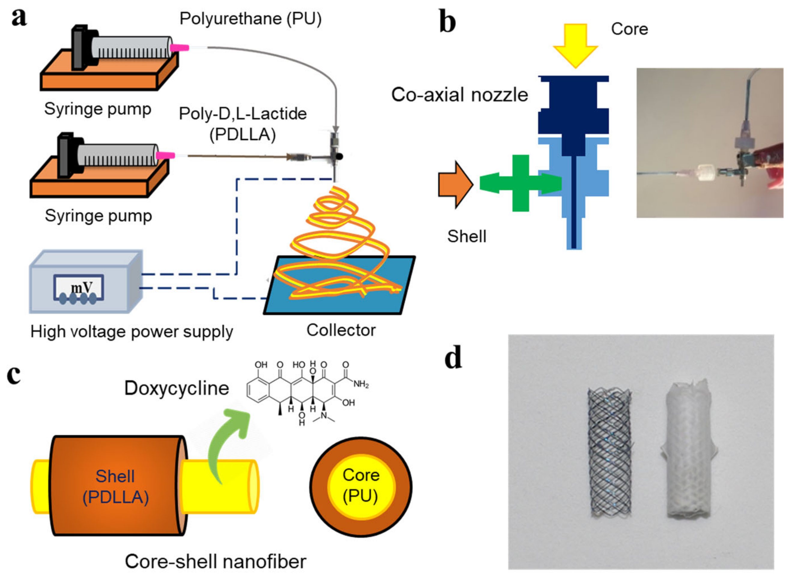 Pharmaceutics 11 00421 sch001 Pharmaceutics 11 00421 sch001