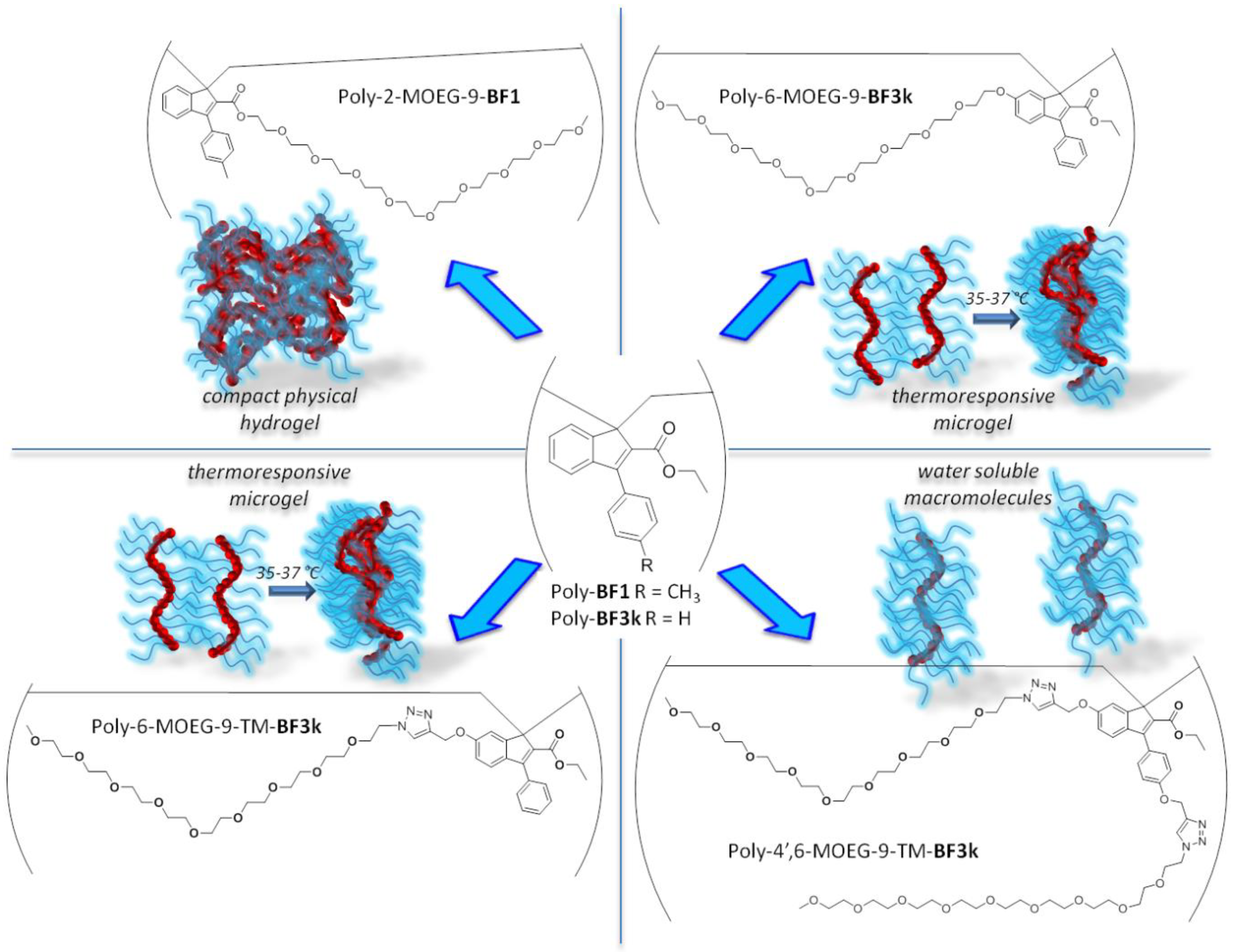 Pharmaceutics 11 00444 g001 Pharmaceutics 11 00444 g001