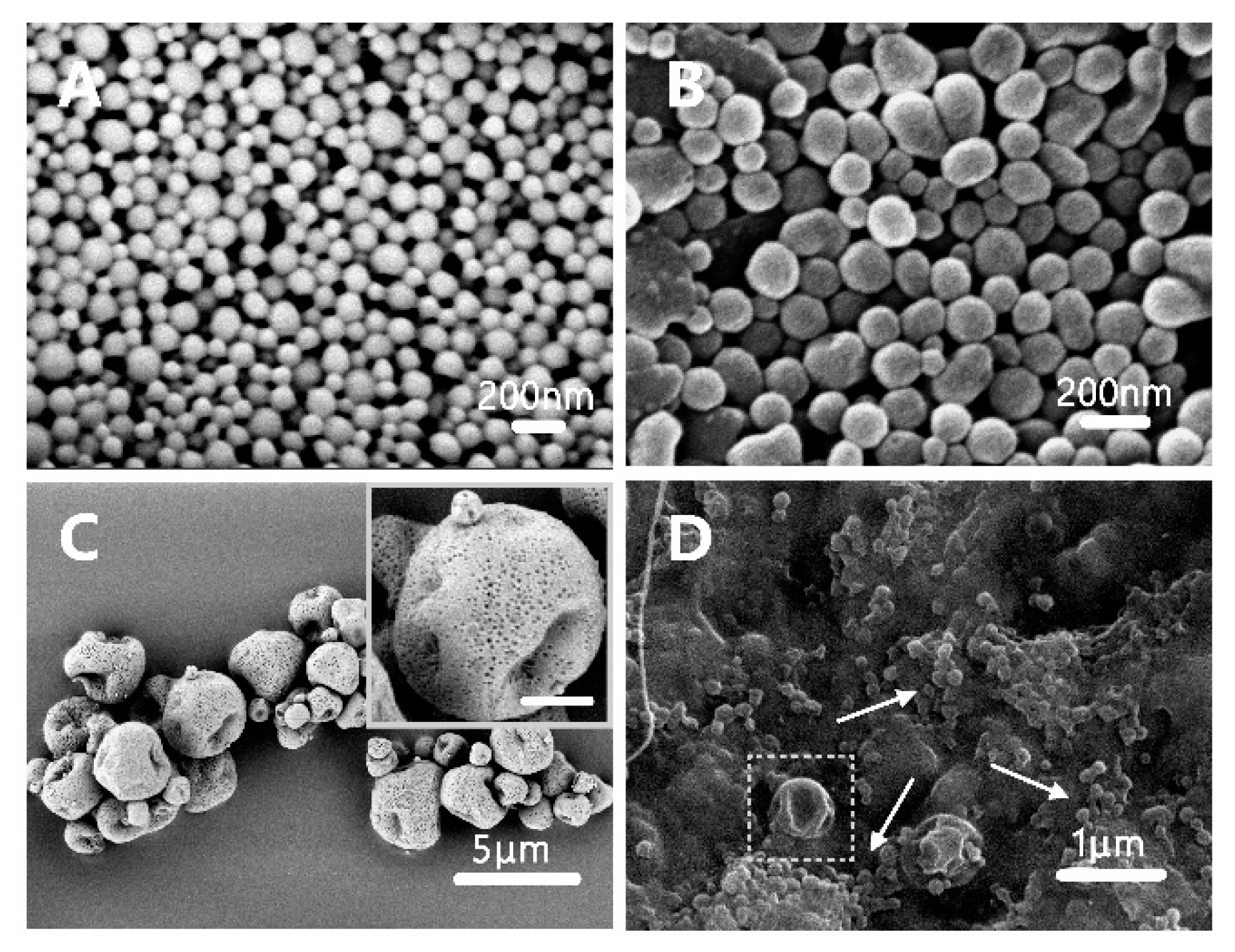Pharmaceutics 11 00469 g002 Pharmaceutics 11 00469 g002