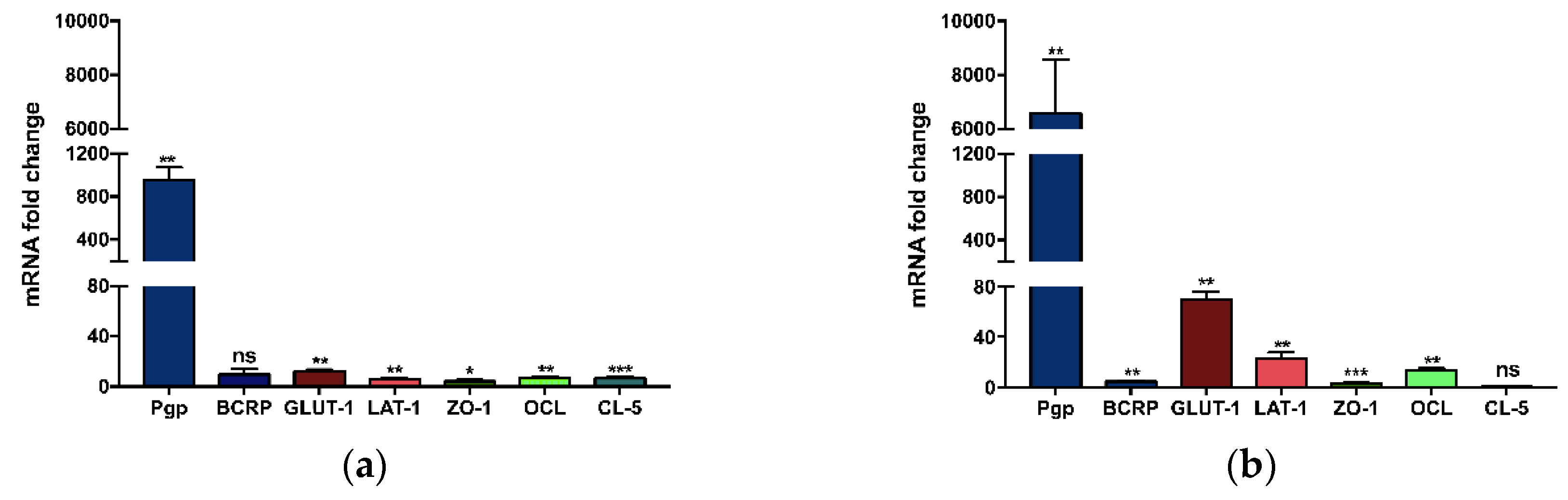 Pharmaceutics 11 00587 g001