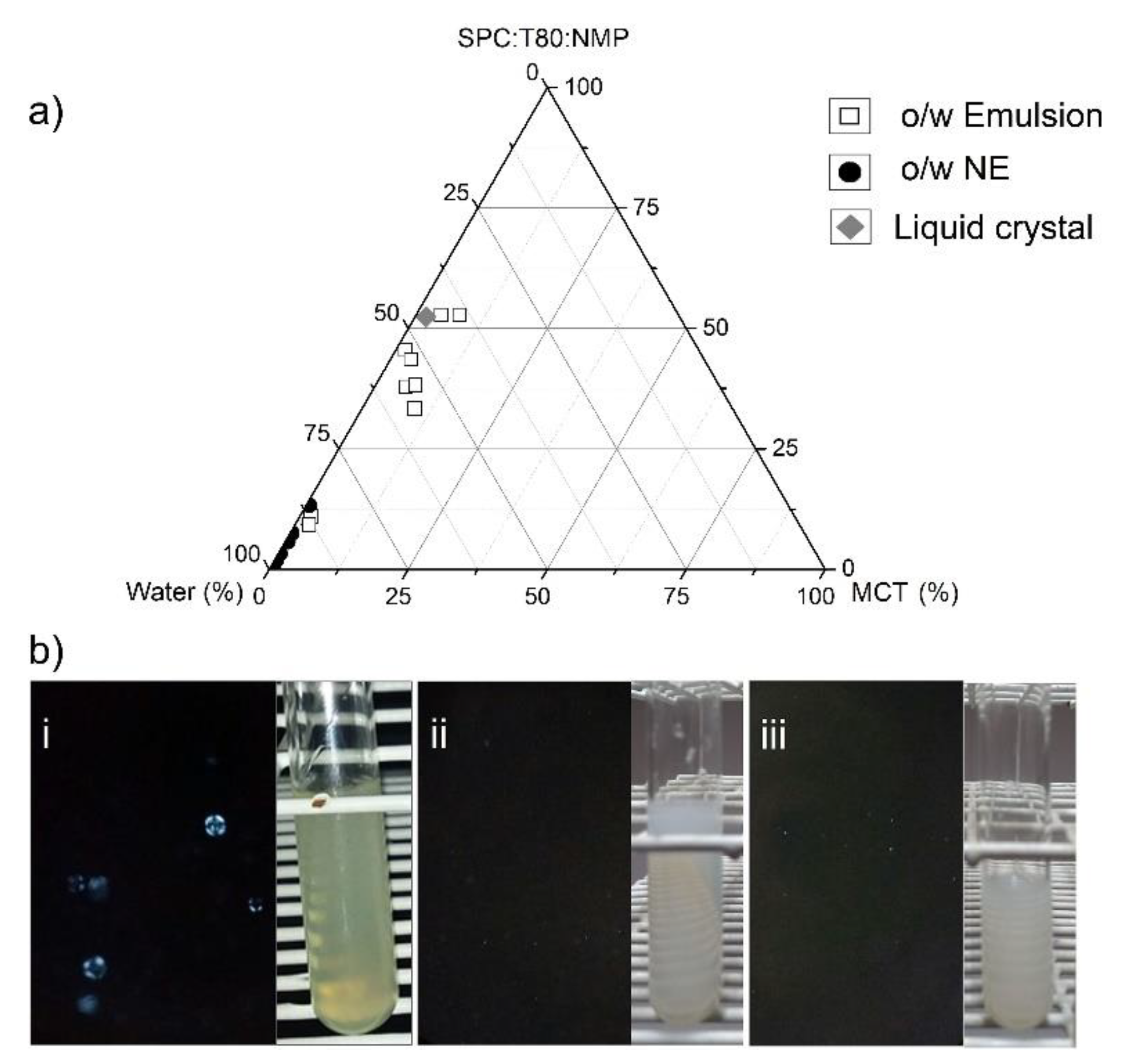 Pharmaceutics 12 00927 g002