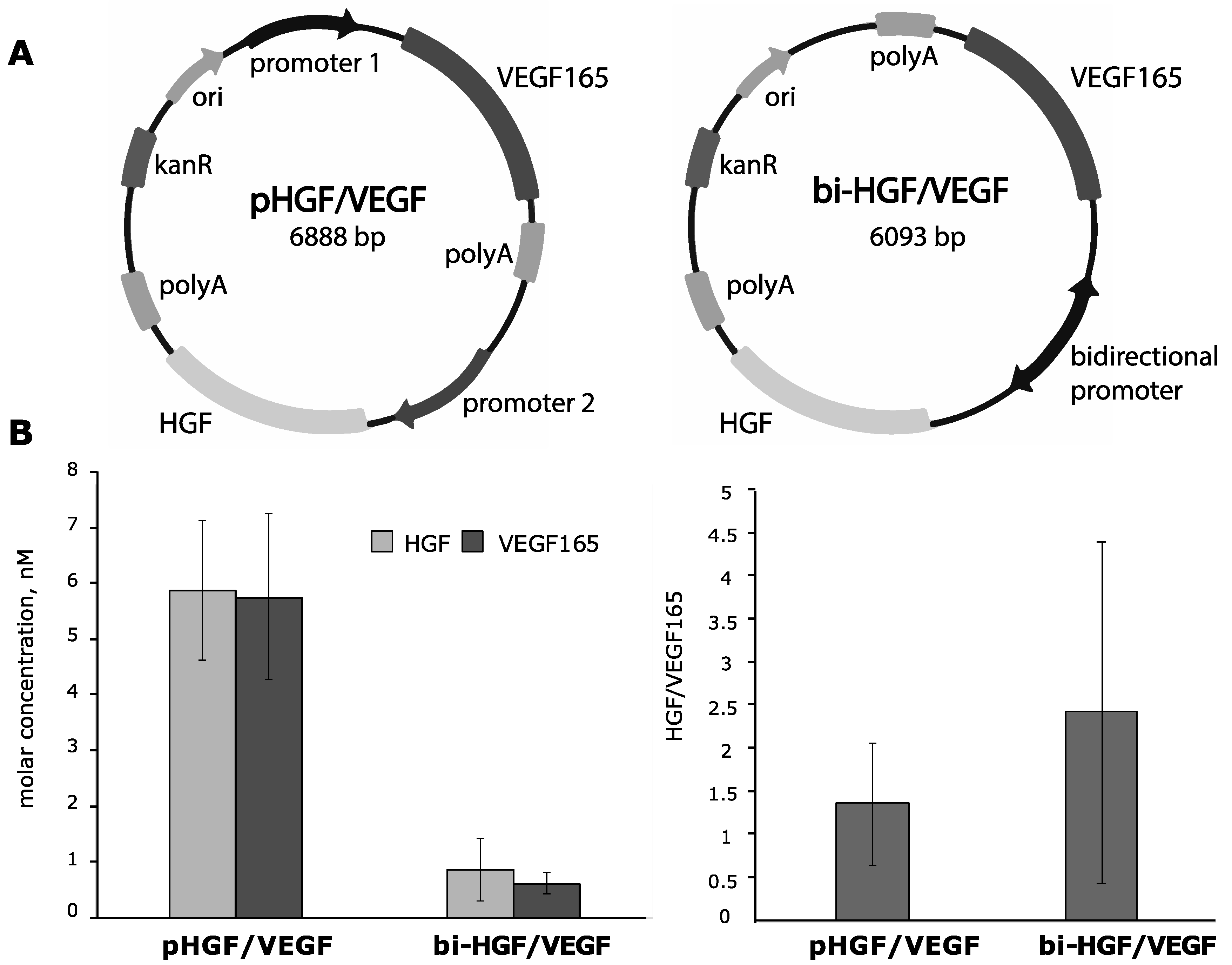 Pharmaceutics 12 01231 g003