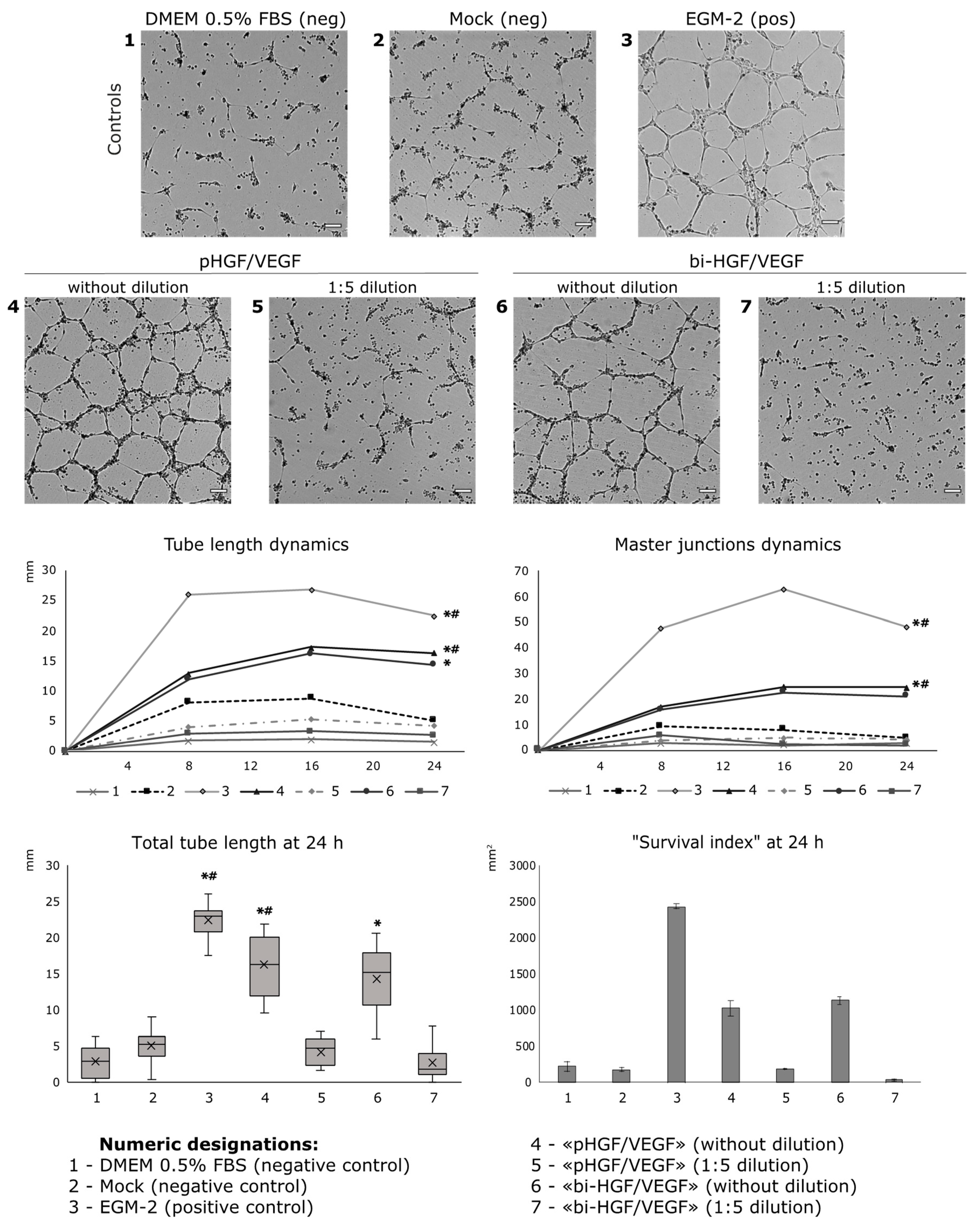Pharmaceutics 12 01231 g004