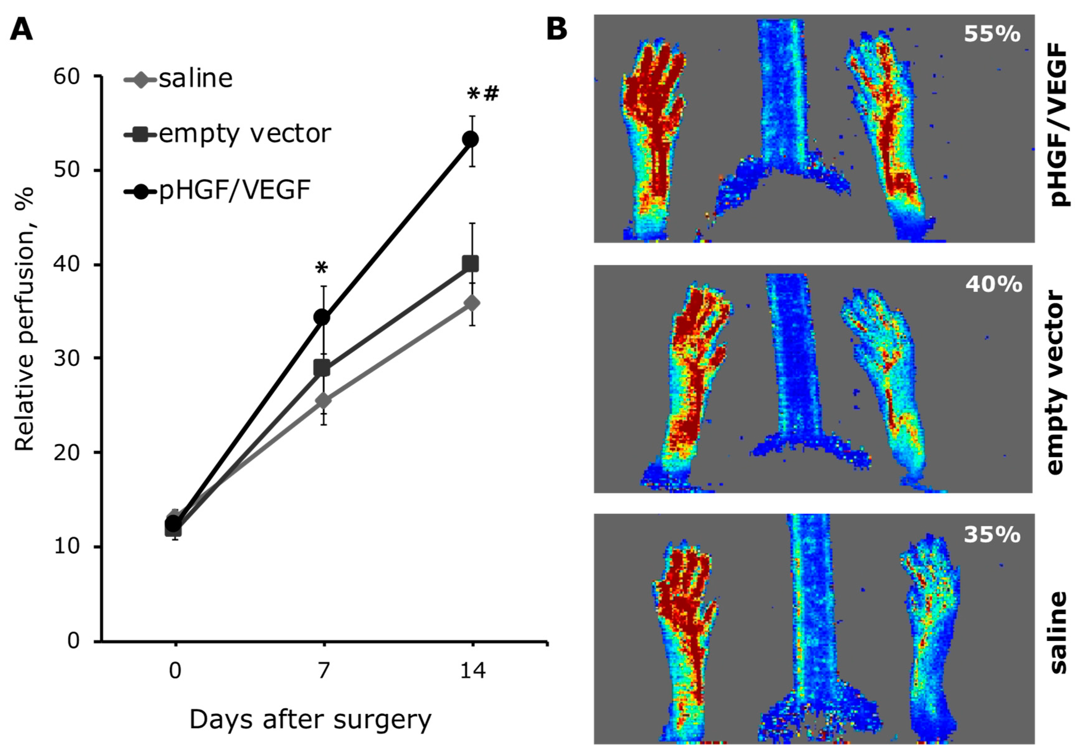 Pharmaceutics 12 01231 g007