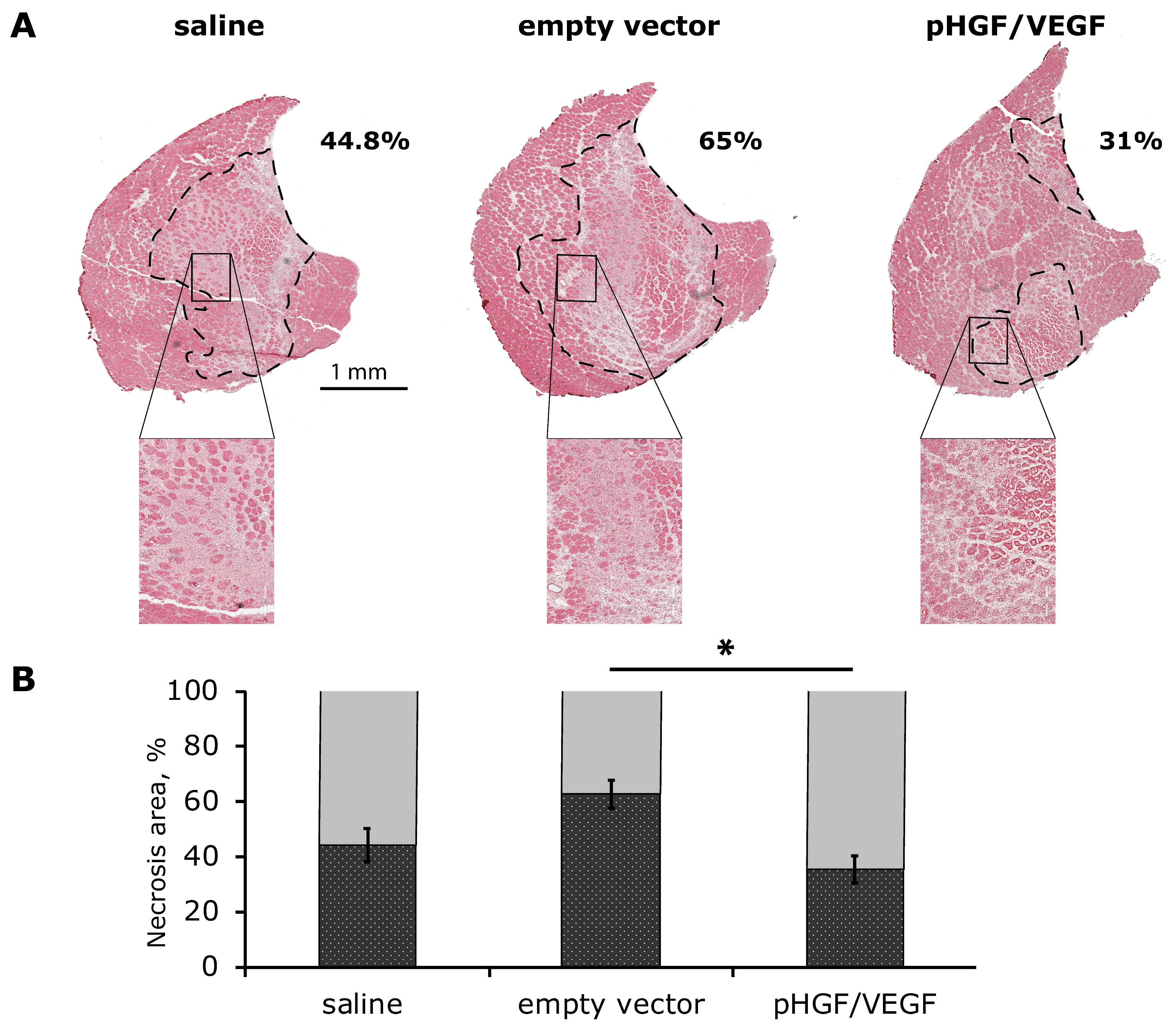 Pharmaceutics 12 01231 g008