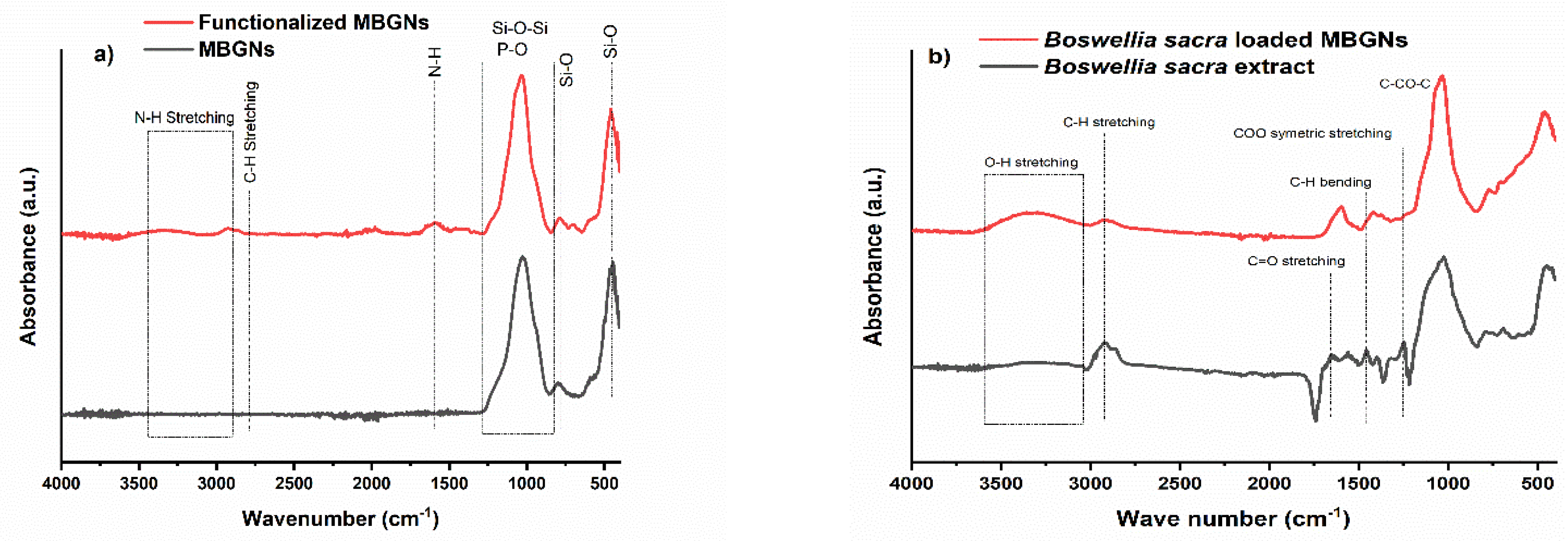 Pharmaceutics 14 00126 g003