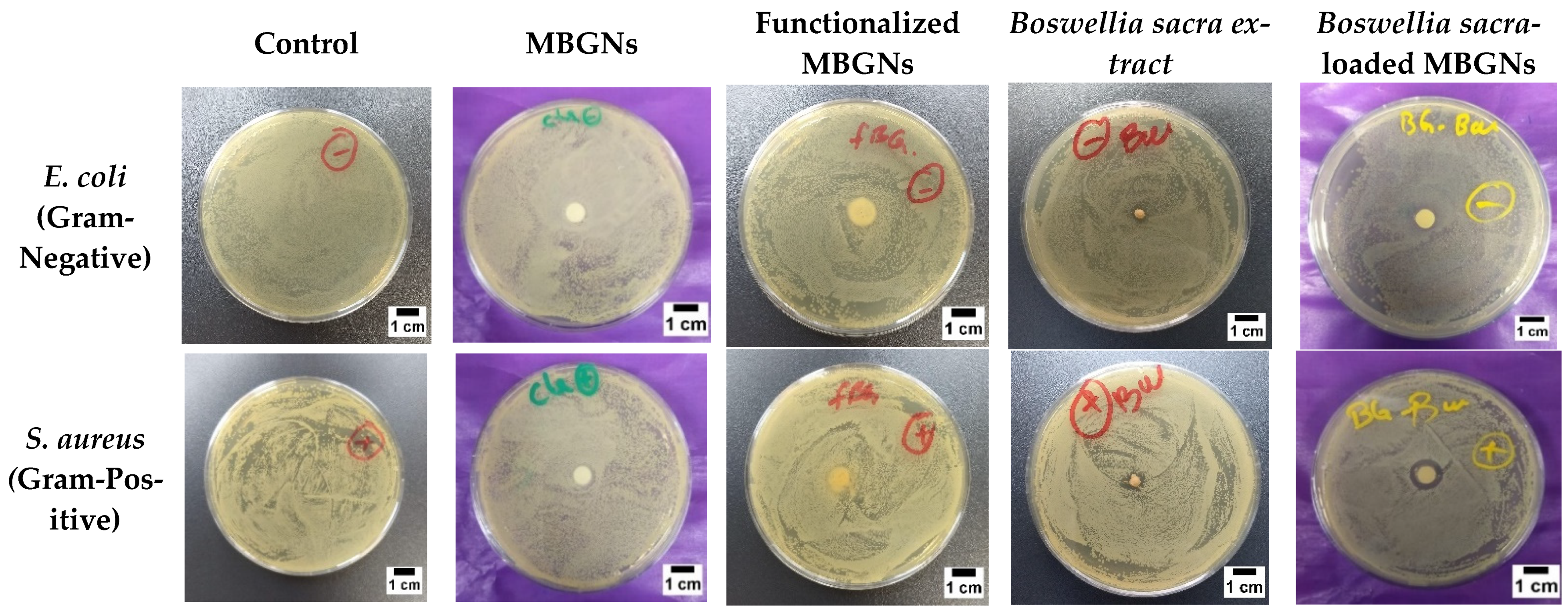 Pharmaceutics 14 00126 g007