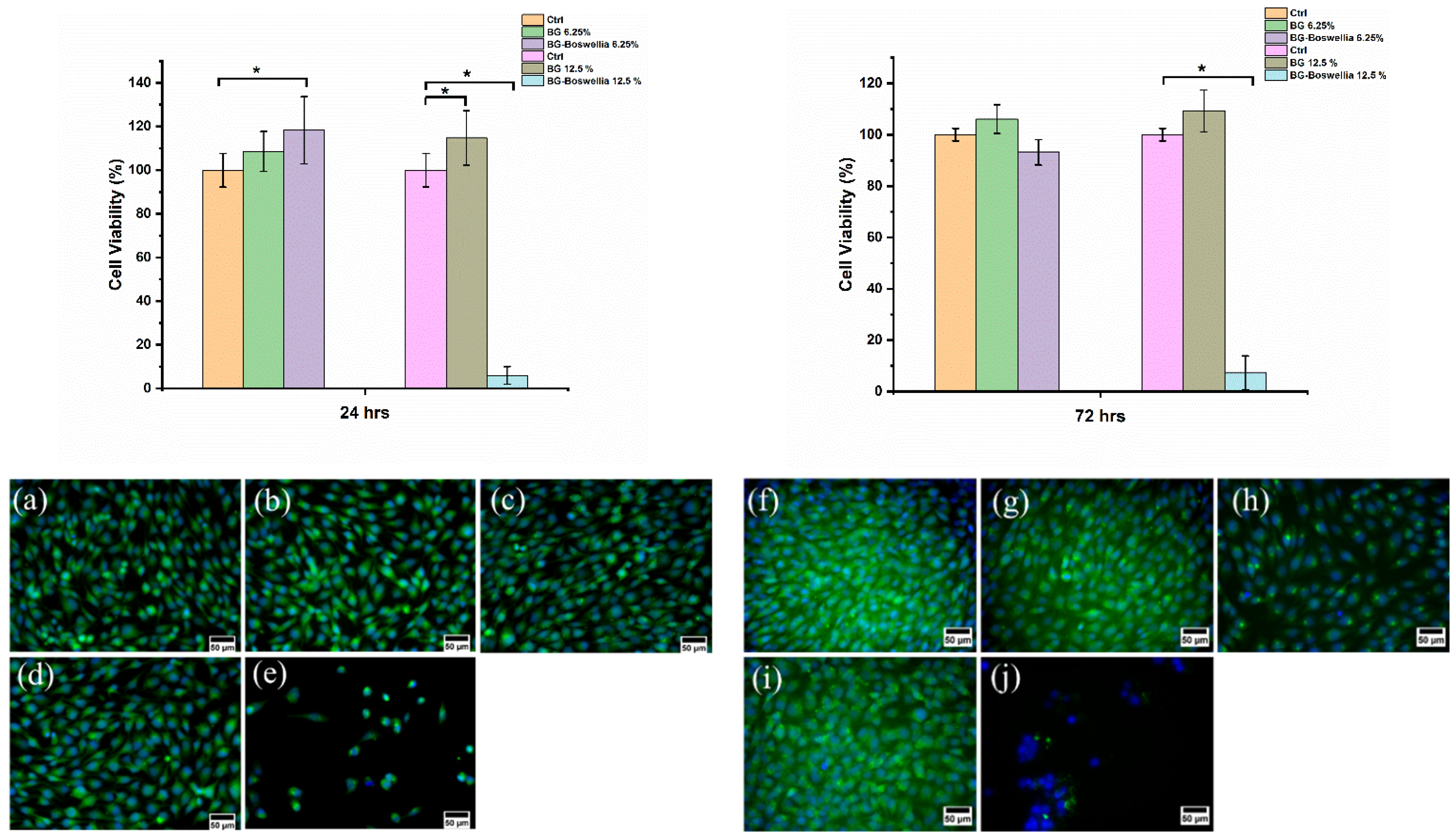 Pharmaceutics 14 00126 g008