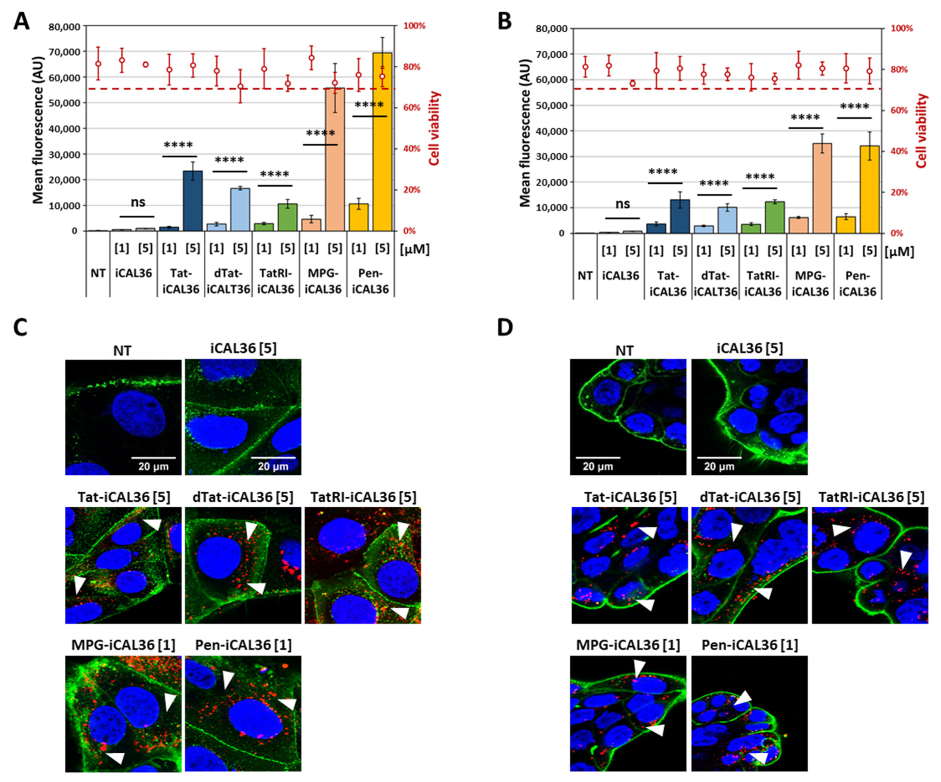 Pharmaceutics 14 00808 g001