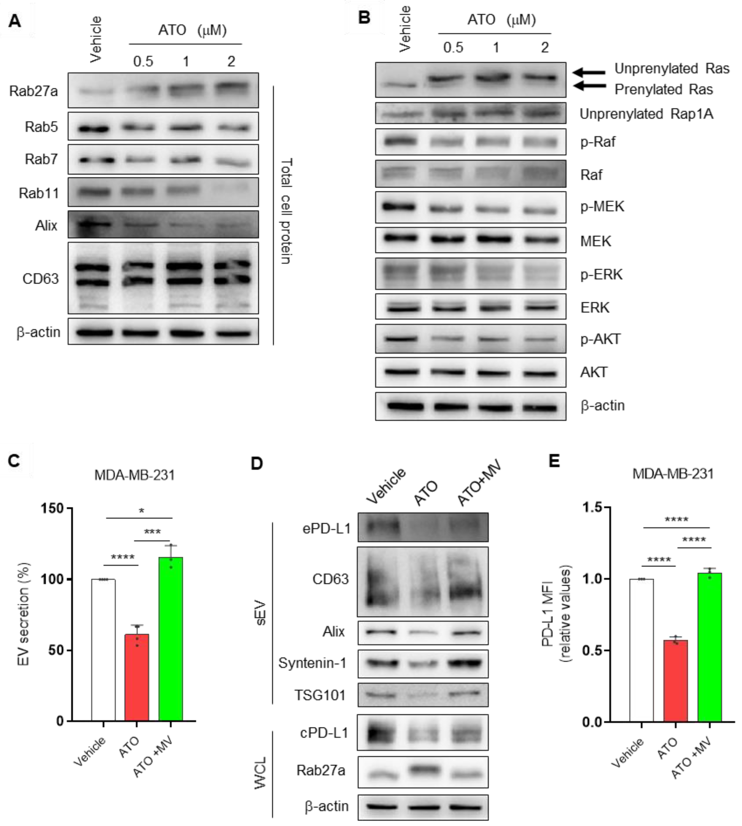 Pharmaceutics 14 01660 g002