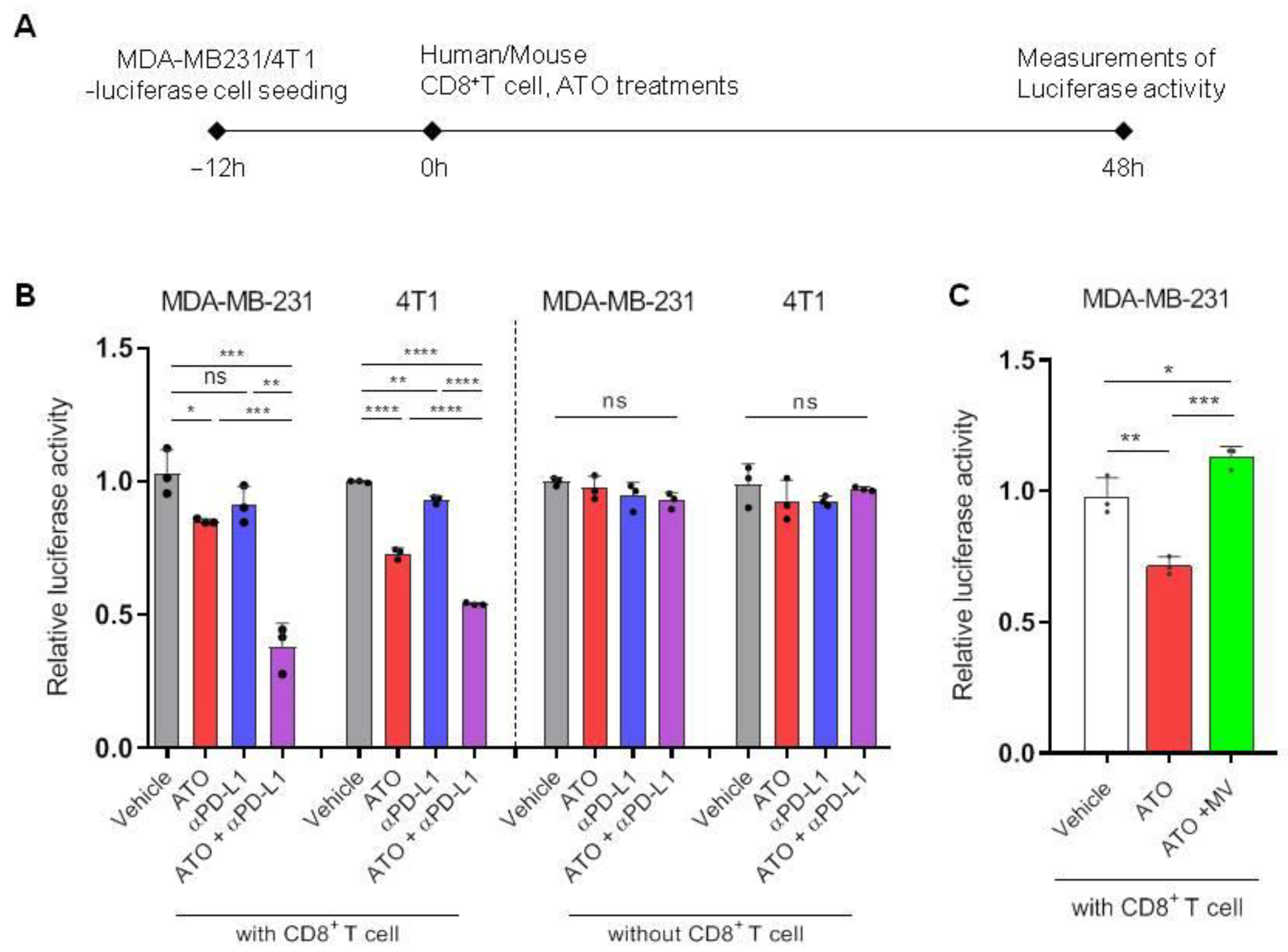 Pharmaceutics 14 01660 g003