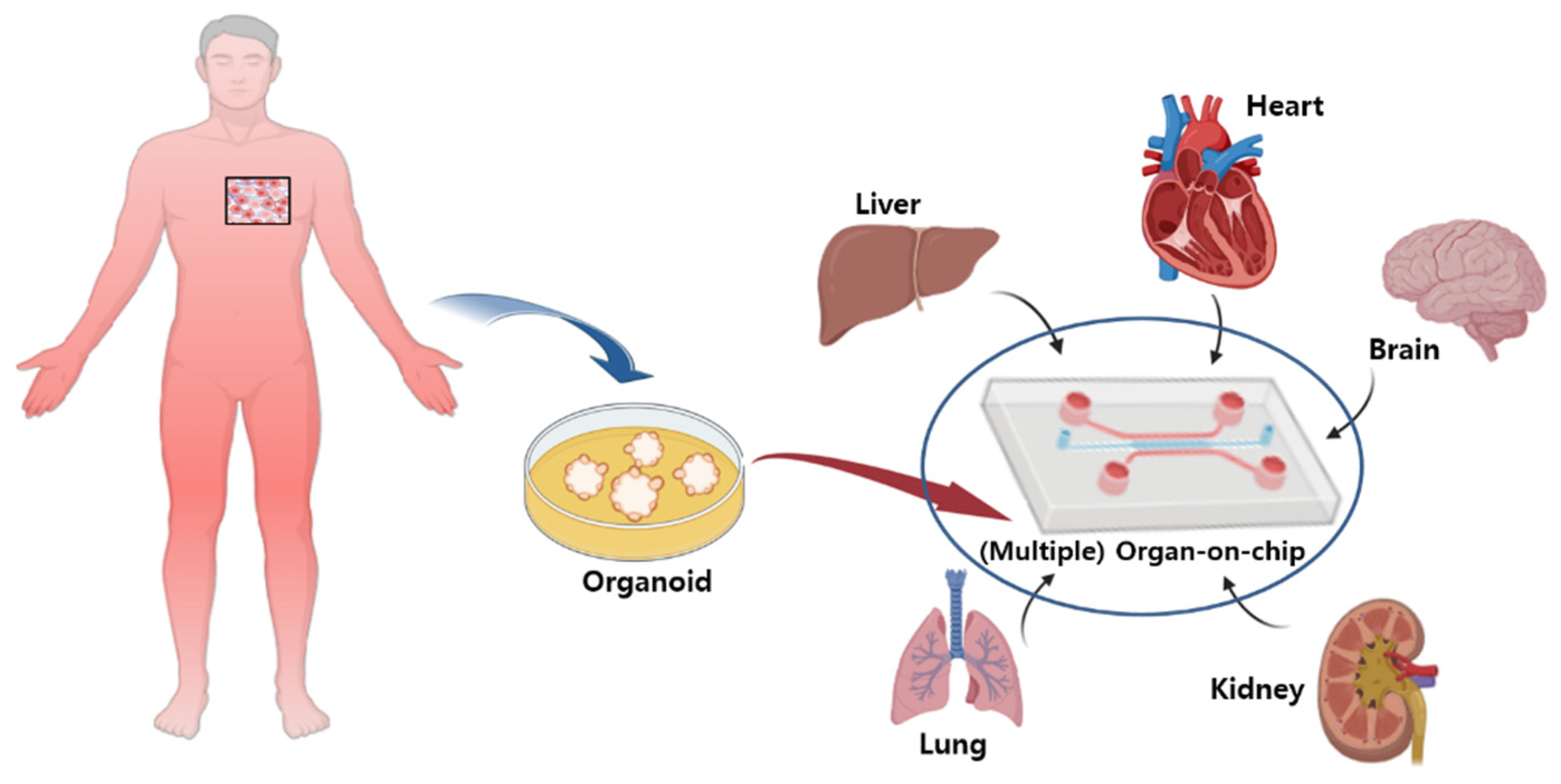 Pharmaceutics 15 00054 g002