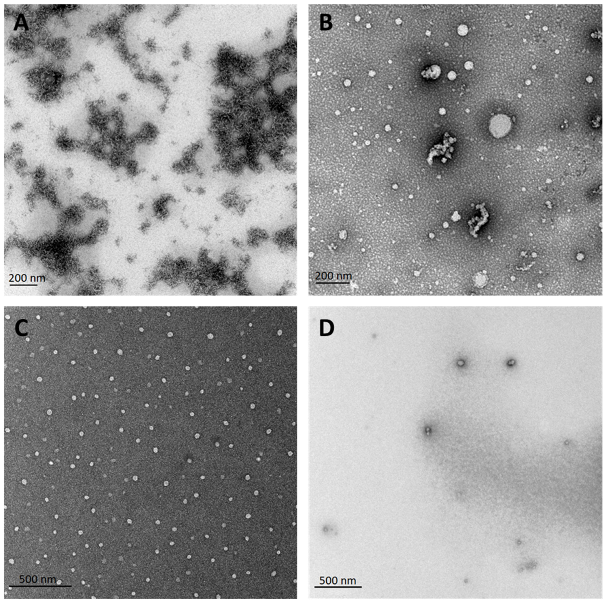Pharmaceutics 15 00396 g003