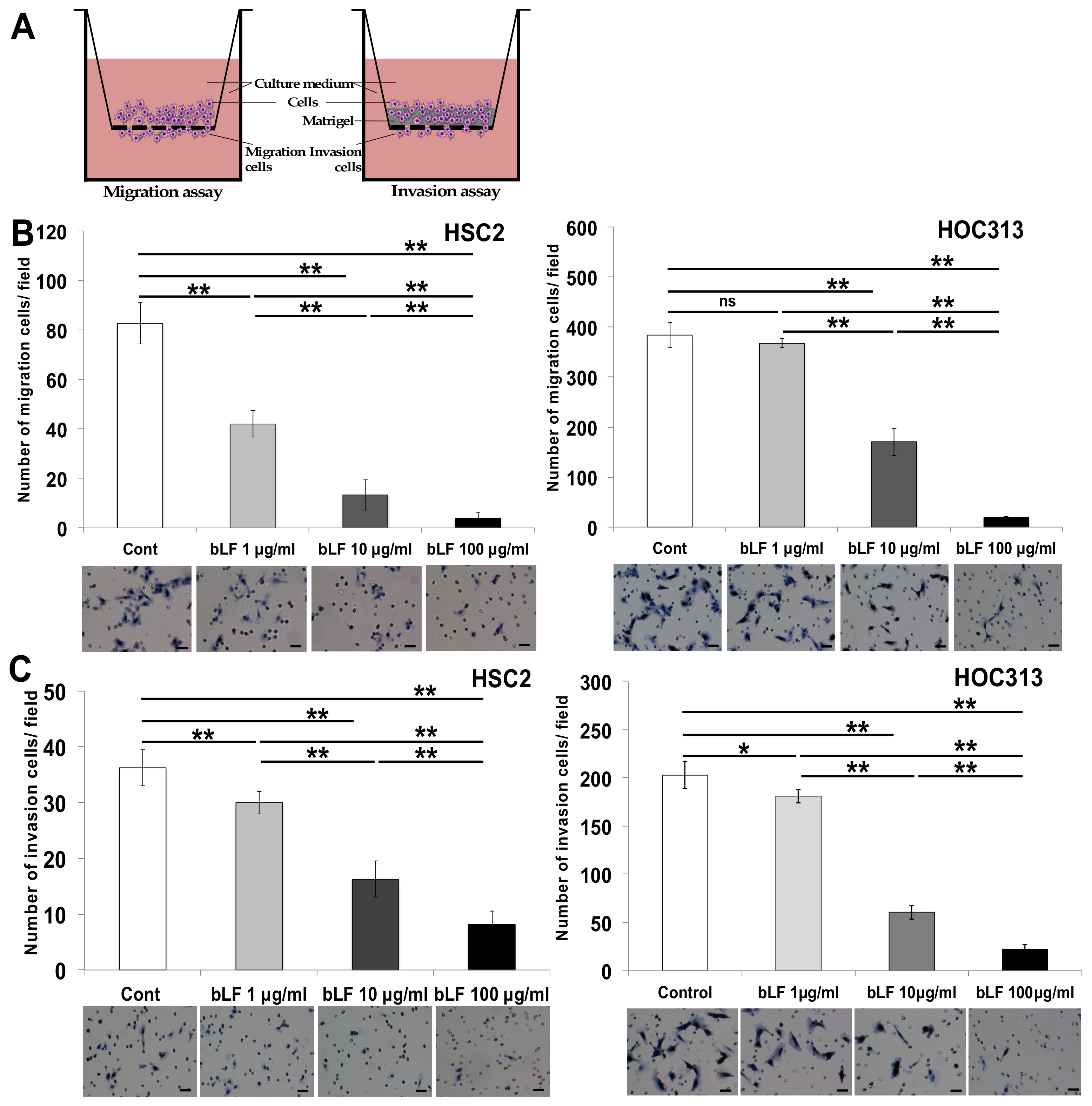 Pharmaceutics 15 00562 g001 Pharmaceutics 15 00562 g001