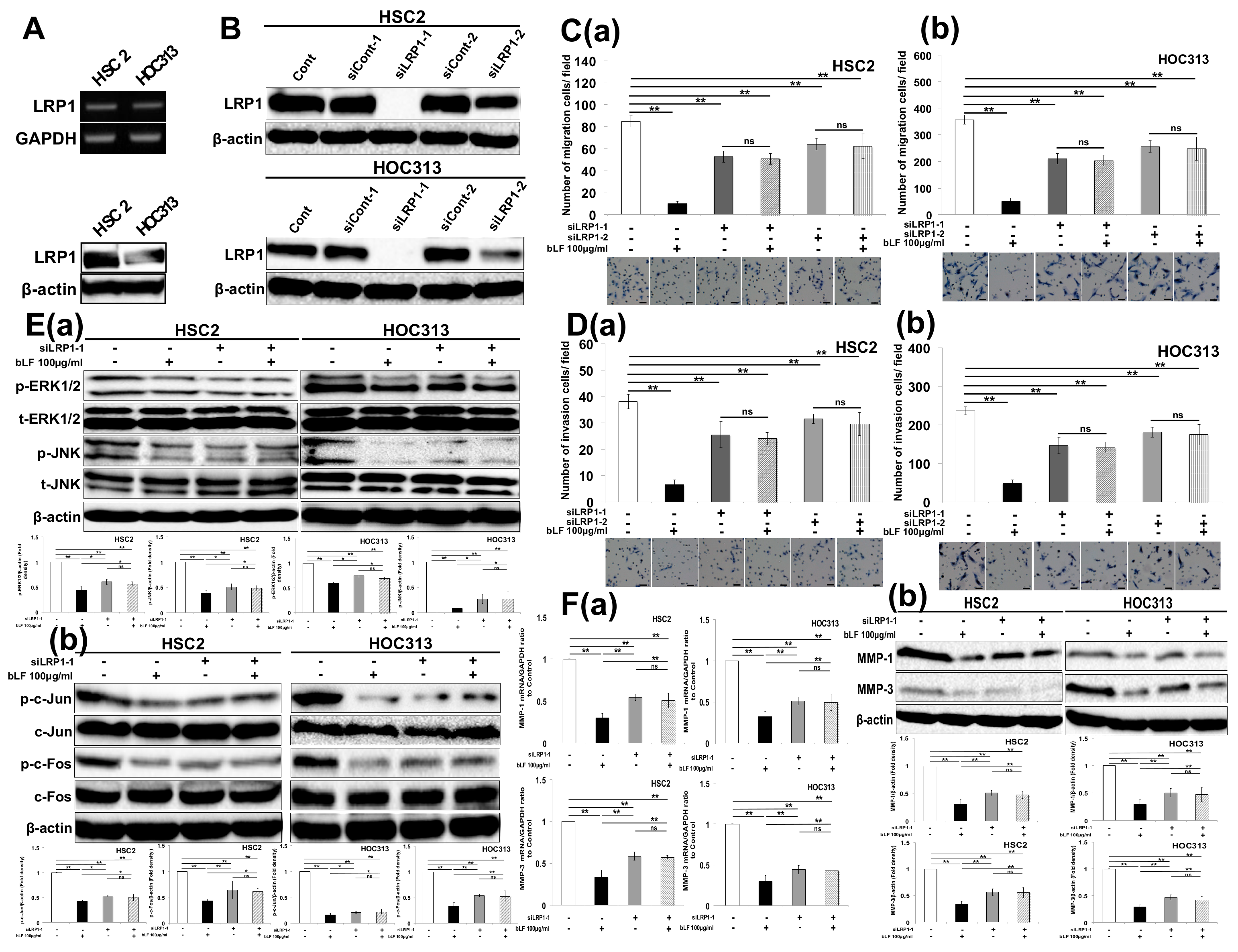 Pharmaceutics 15 00562 g003 Pharmaceutics 15 00562 g003