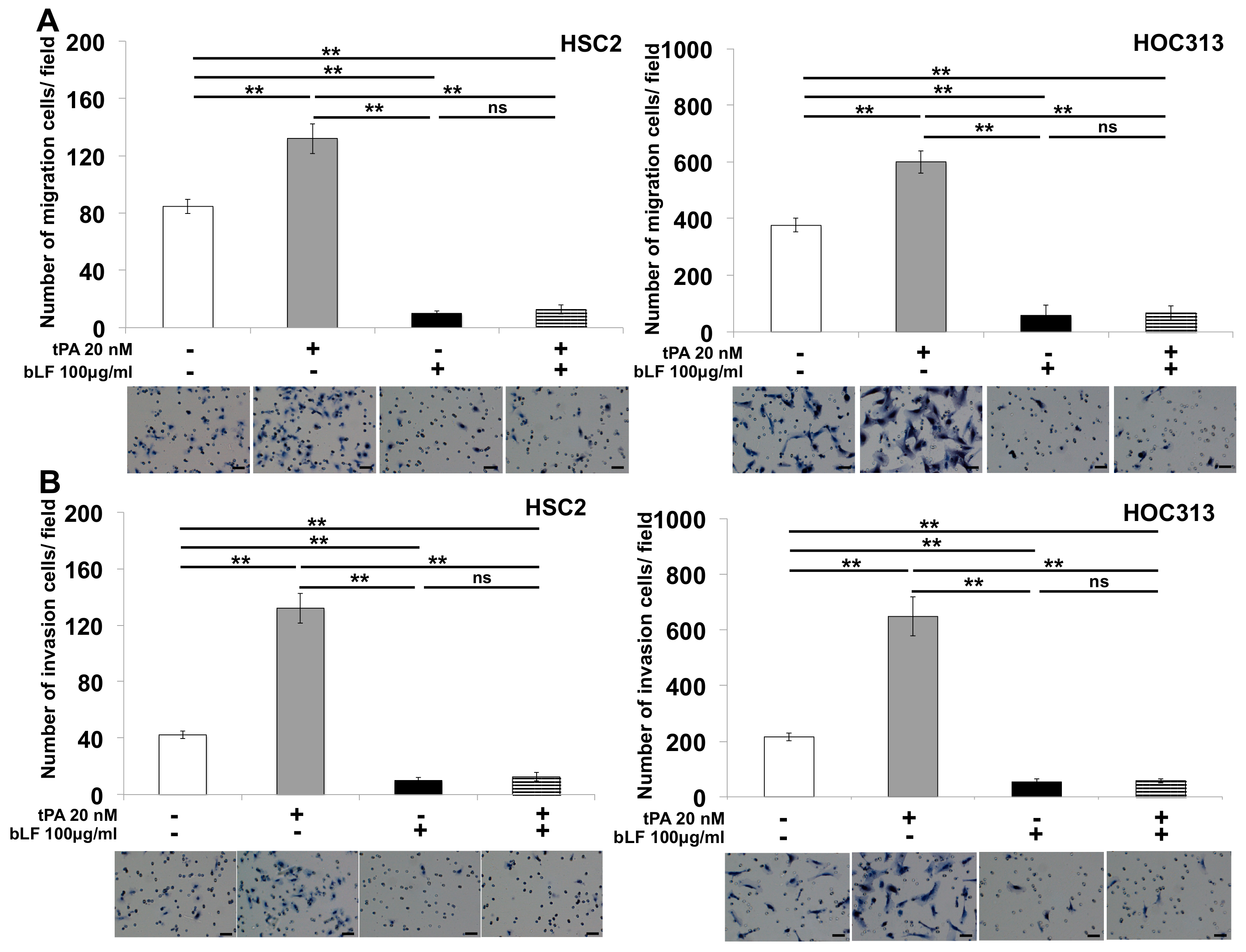 Pharmaceutics 15 00562 g004 Pharmaceutics 15 00562 g004