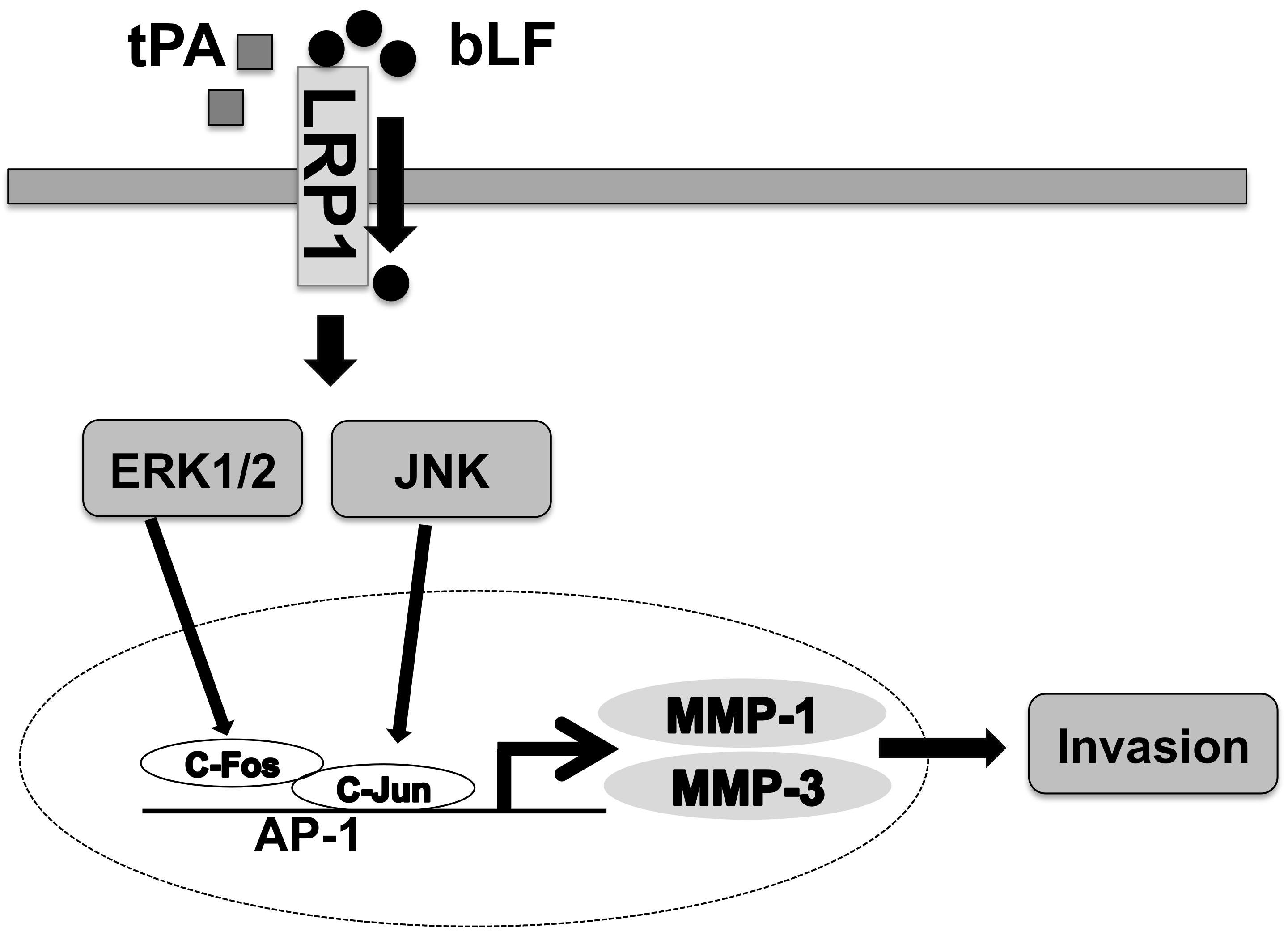 Pharmaceutics 15 00562 g006 Pharmaceutics 15 00562 g006
