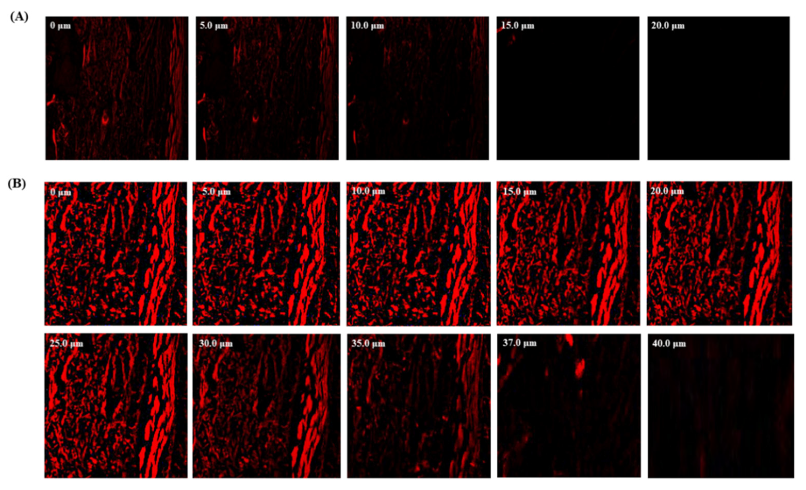 Pharmaceutics 15 00641 g006