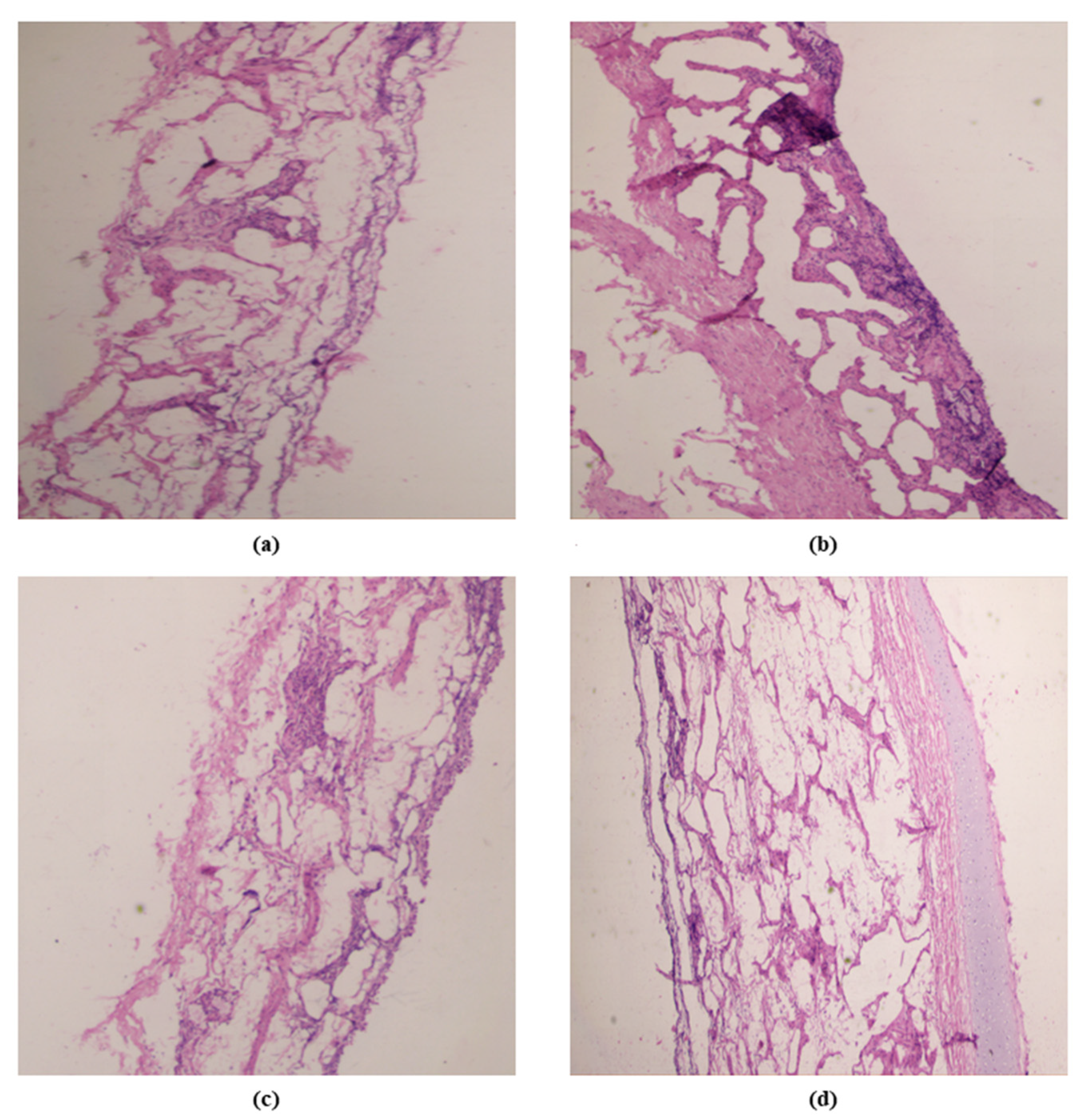 Pharmaceutics 15 00641 g007