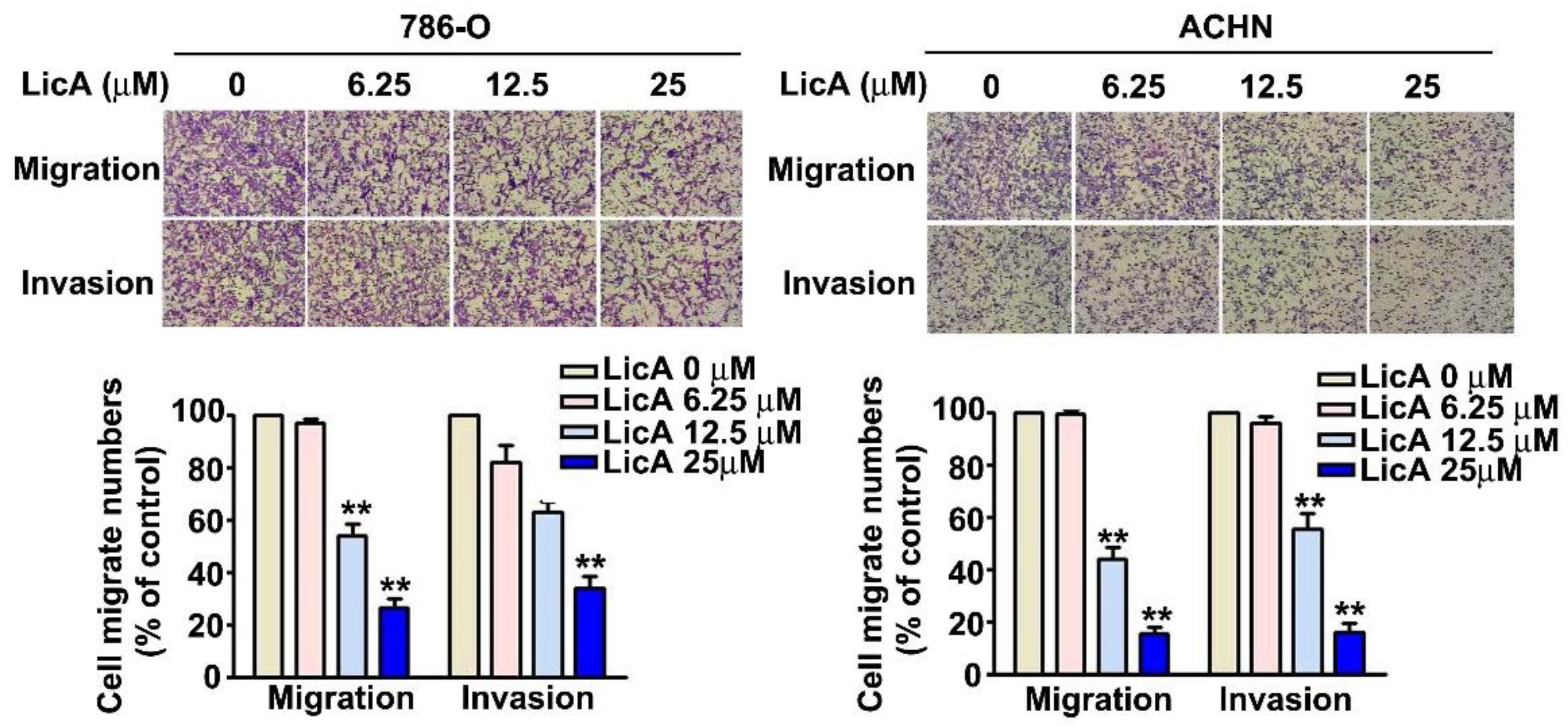 Pharmaceutics 15 00684 g002 Pharmaceutics 15 00684 g002