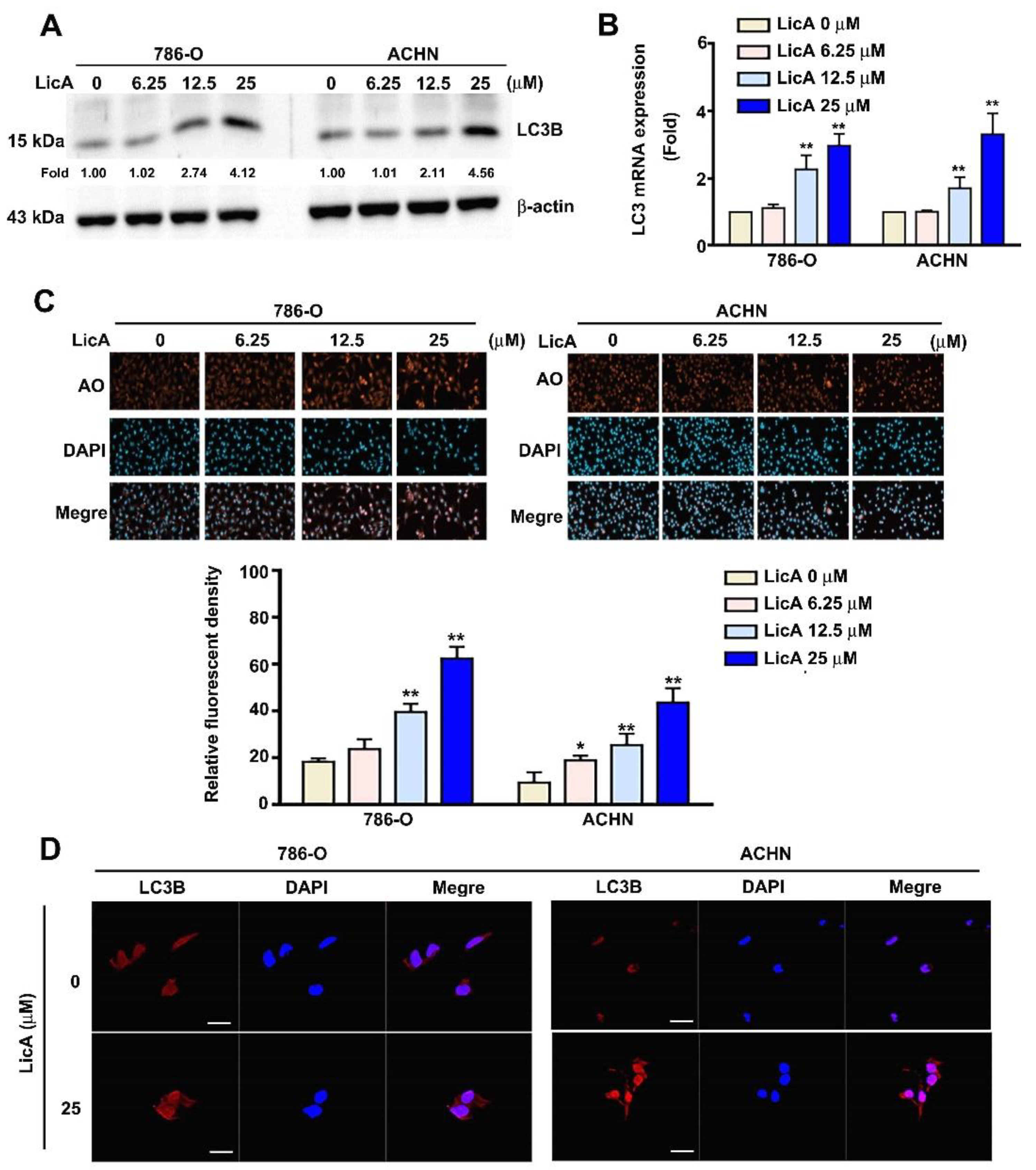 Pharmaceutics 15 00684 g003 Pharmaceutics 15 00684 g003